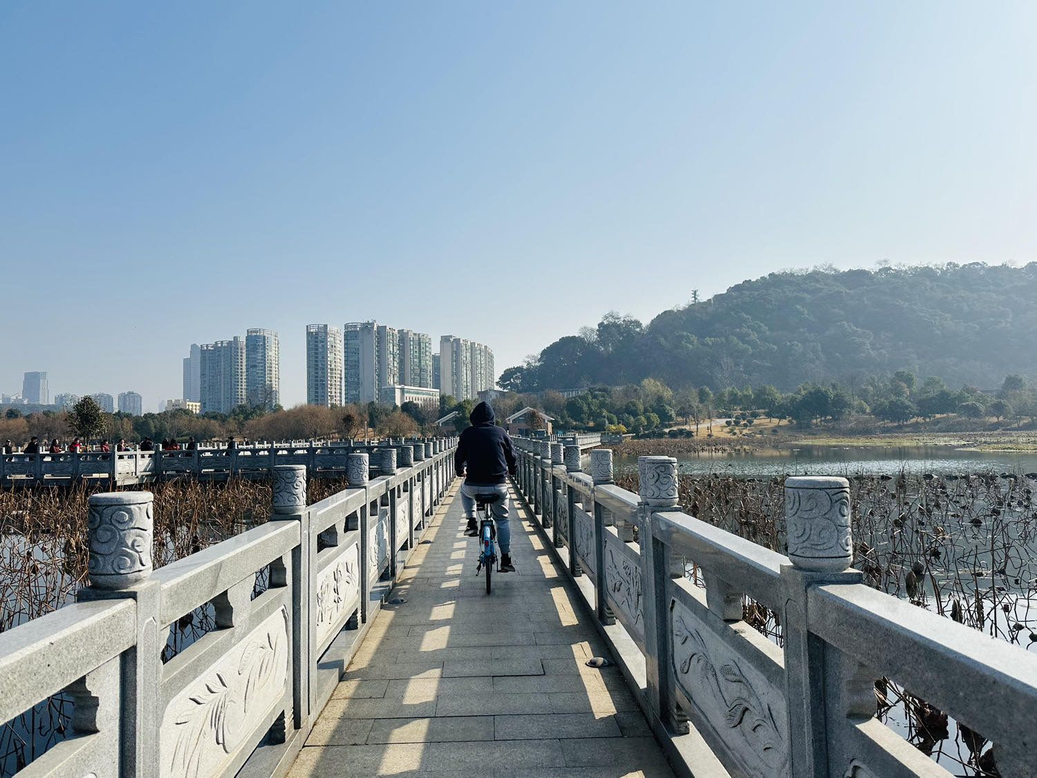 咸嘉湖景区旅行图片 3