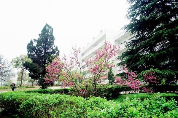 湘潭市第四中学