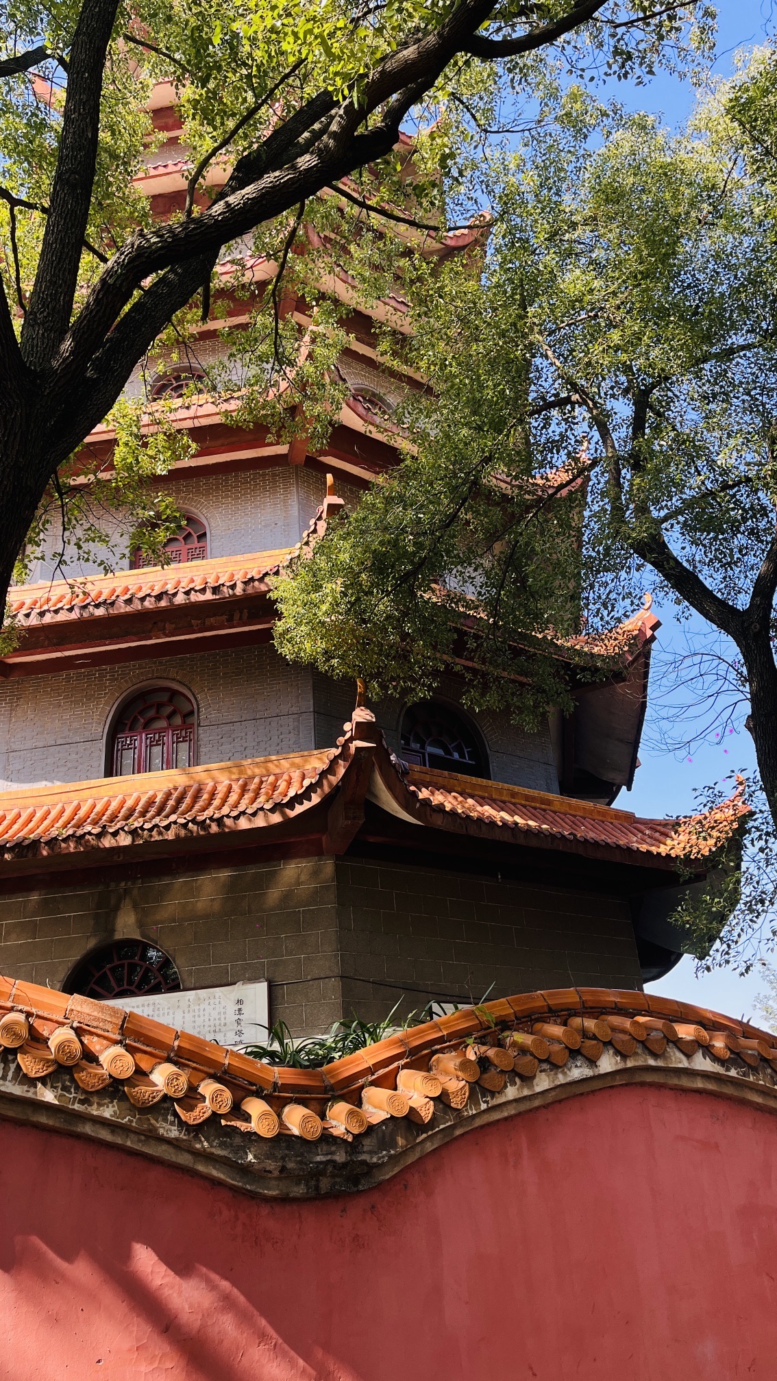 高峰塔旅行图片 1