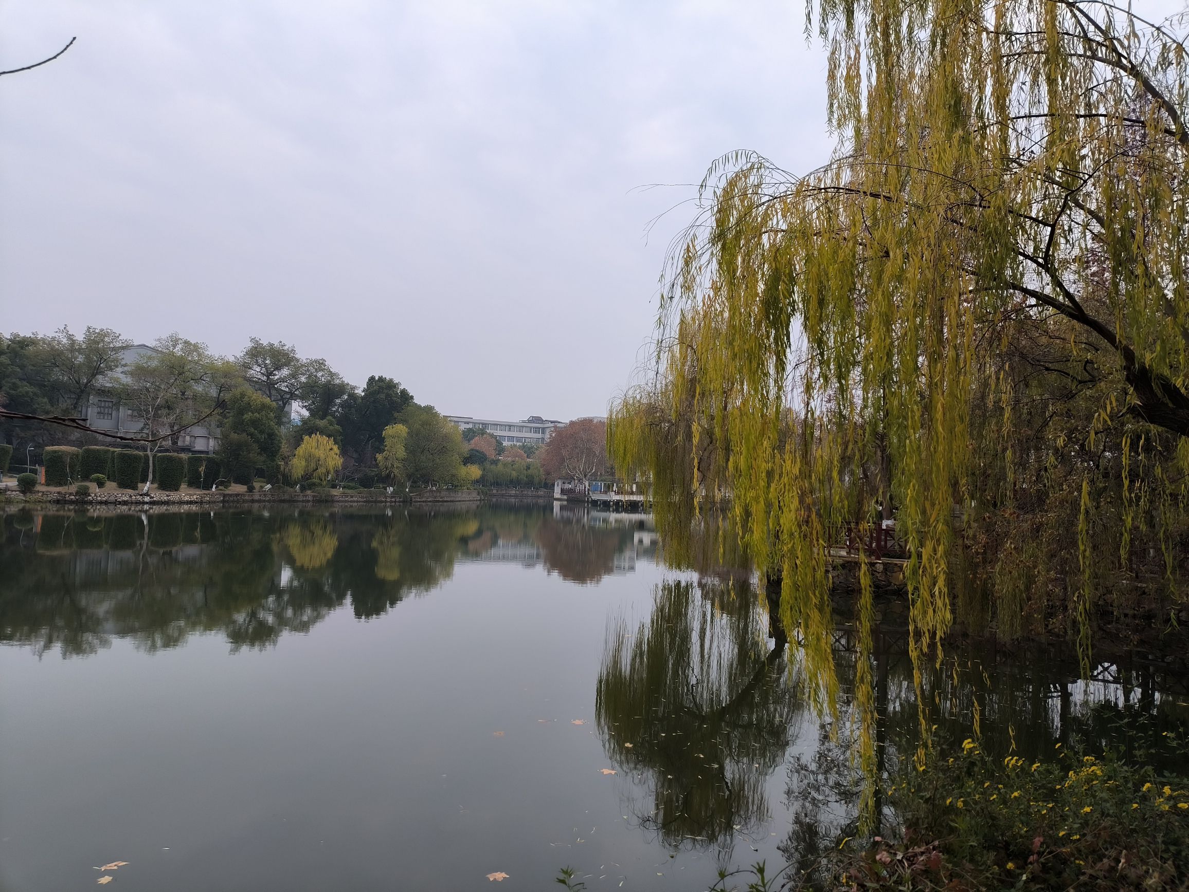 雨湖公园旅行图片 1