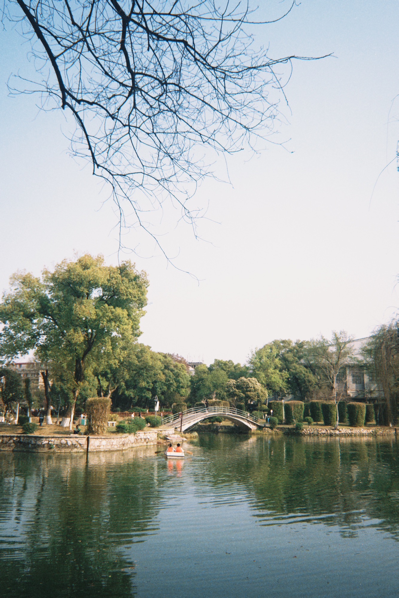 雨湖公园旅行图片 1