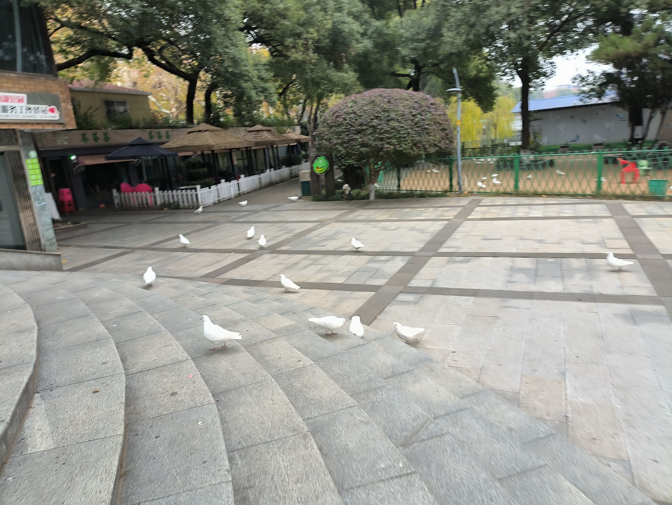 雨湖公园旅行图片 2