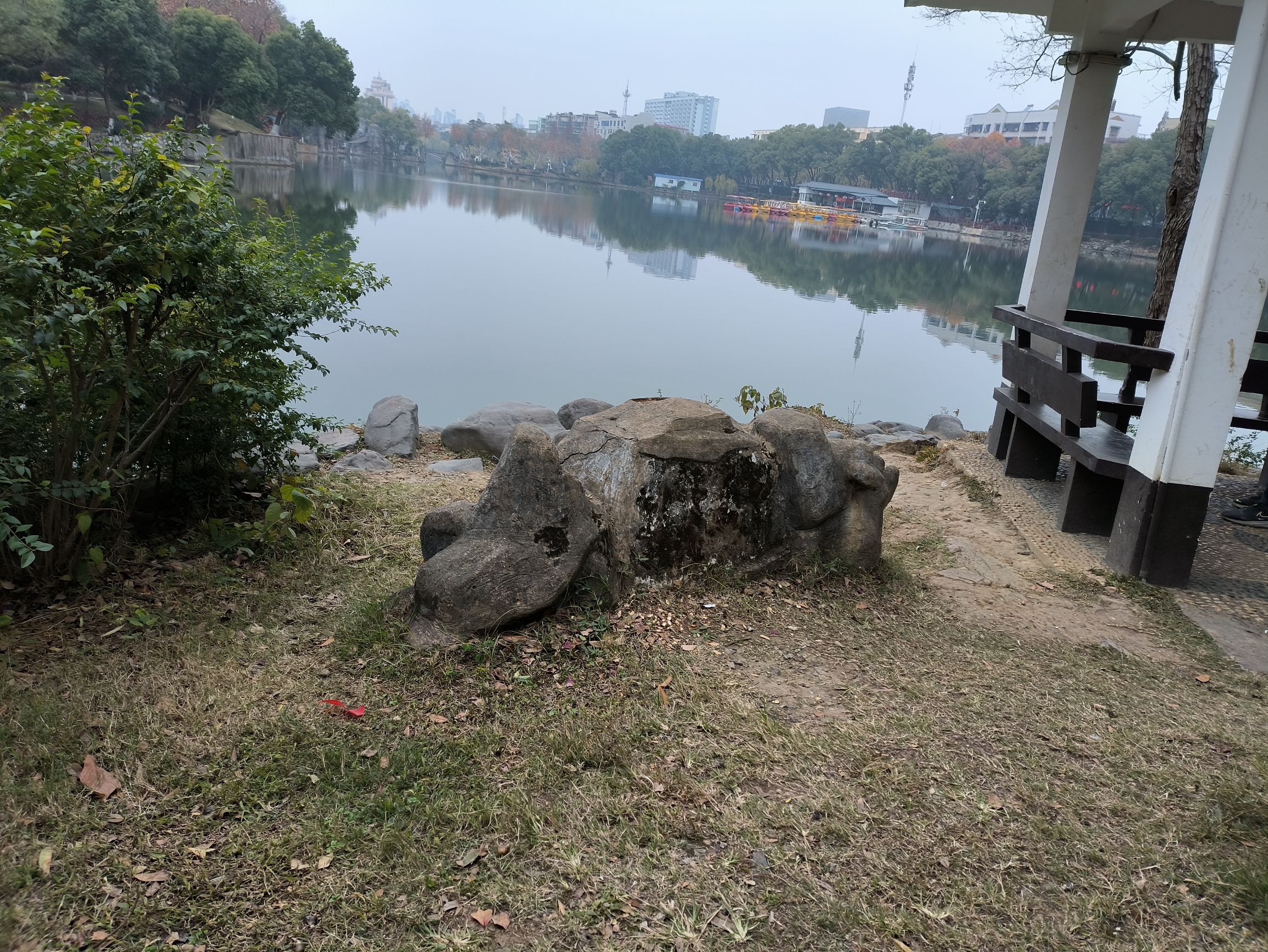 雨湖公园旅行图片 3
