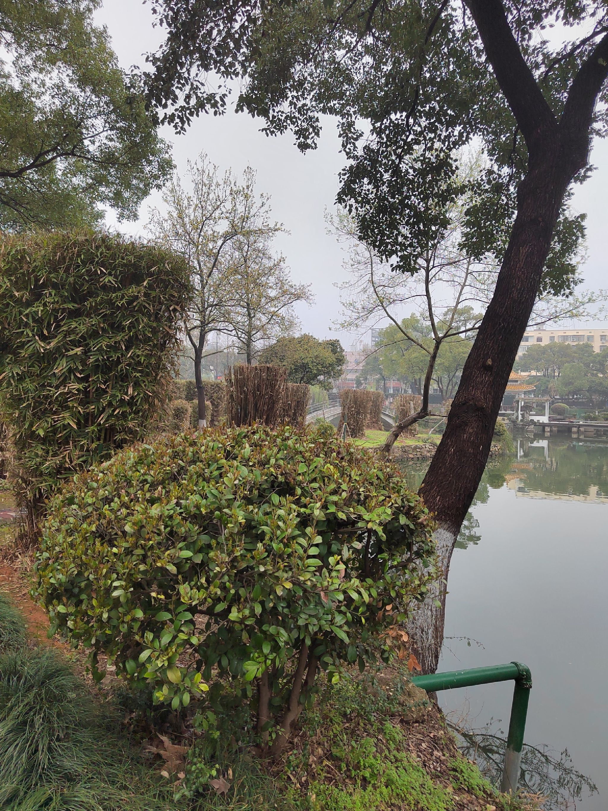 雨湖公园旅行图片 2
