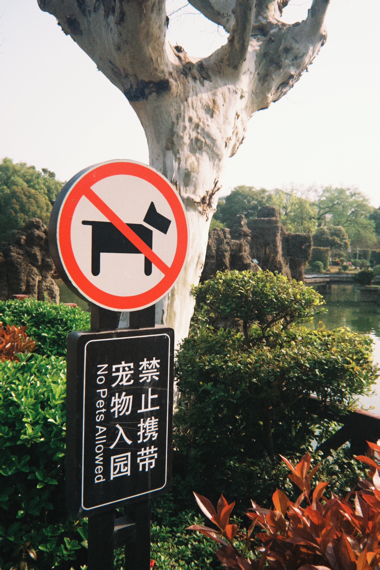 雨湖公园旅行图片 2