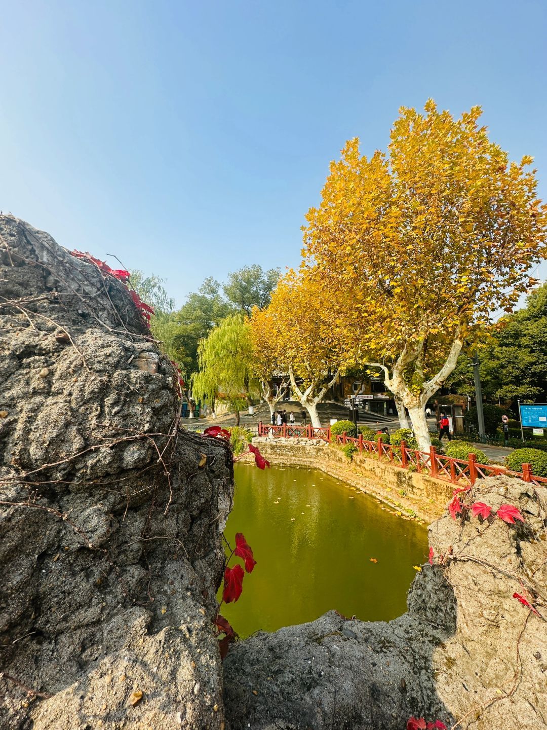 雨湖公园旅行图片 1