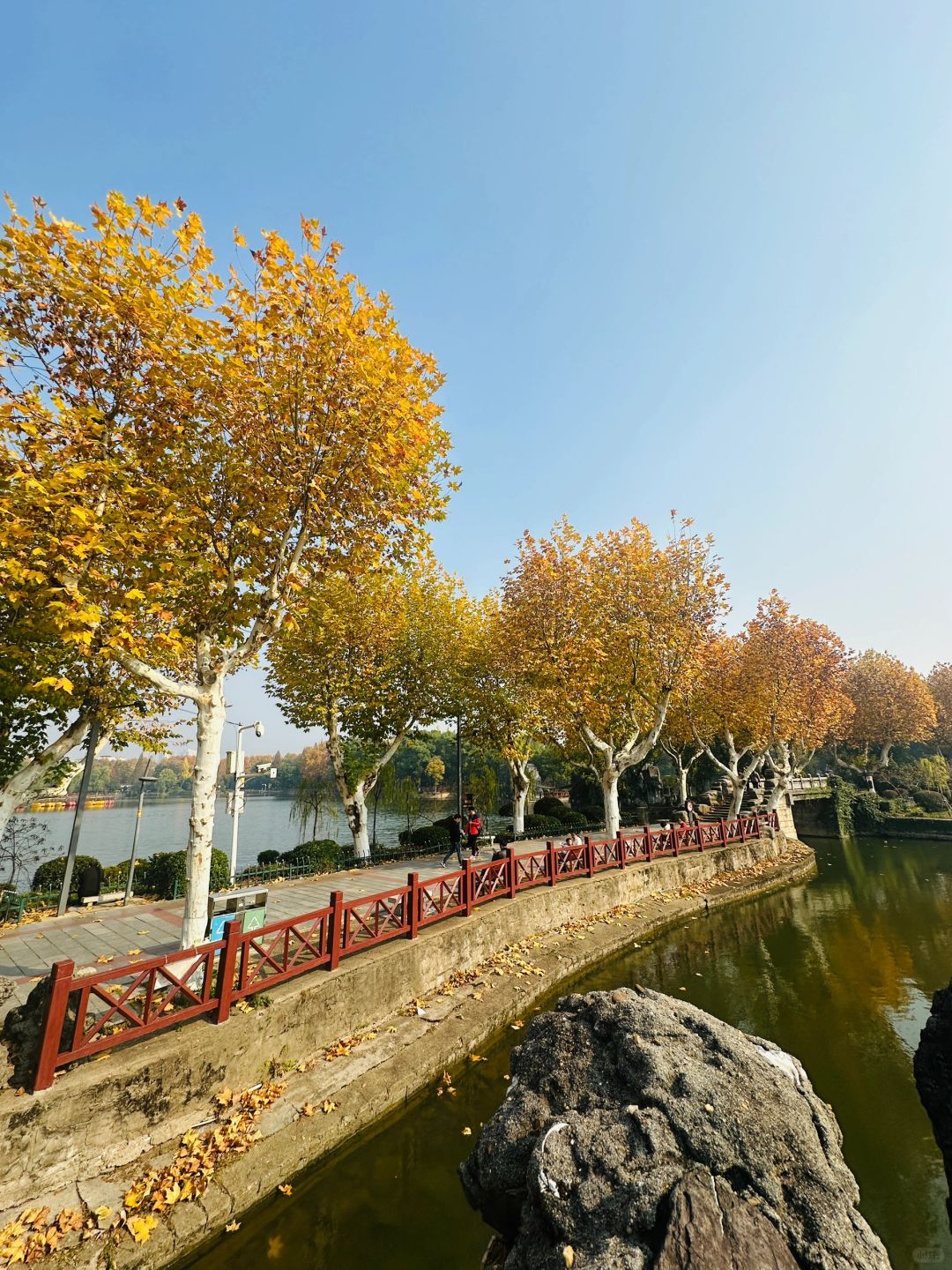 雨湖公园旅行图片 2