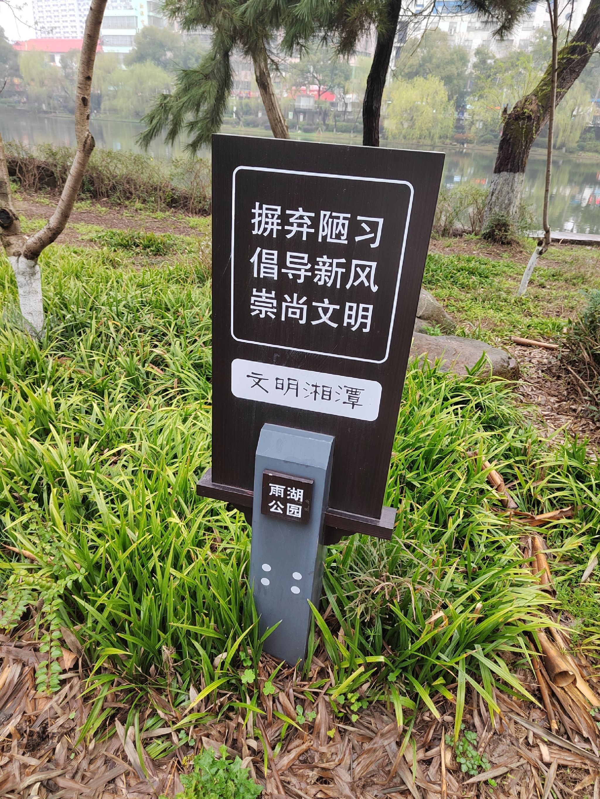 雨湖公园旅行图片 3