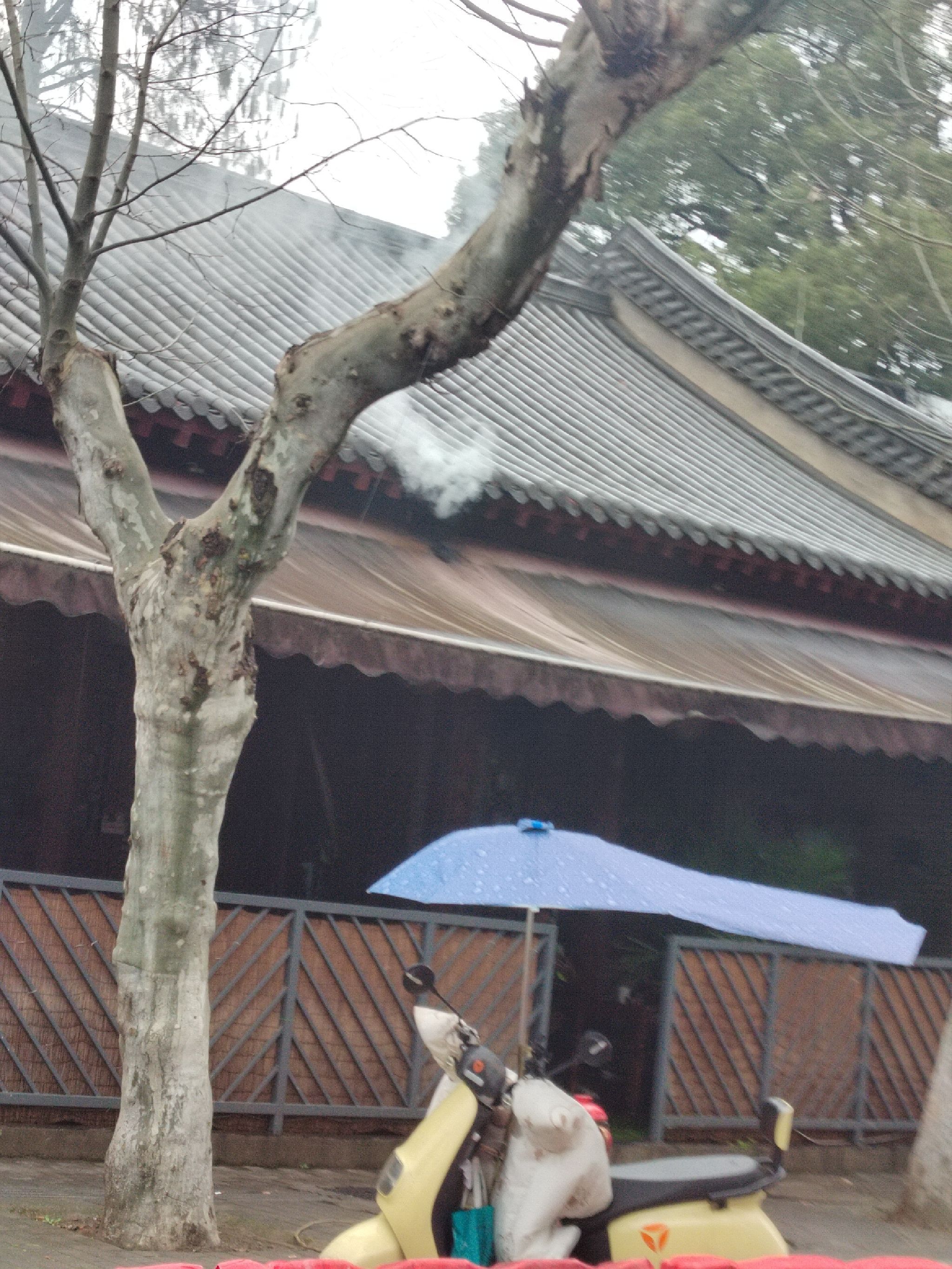 雨湖公园旅行图片 1