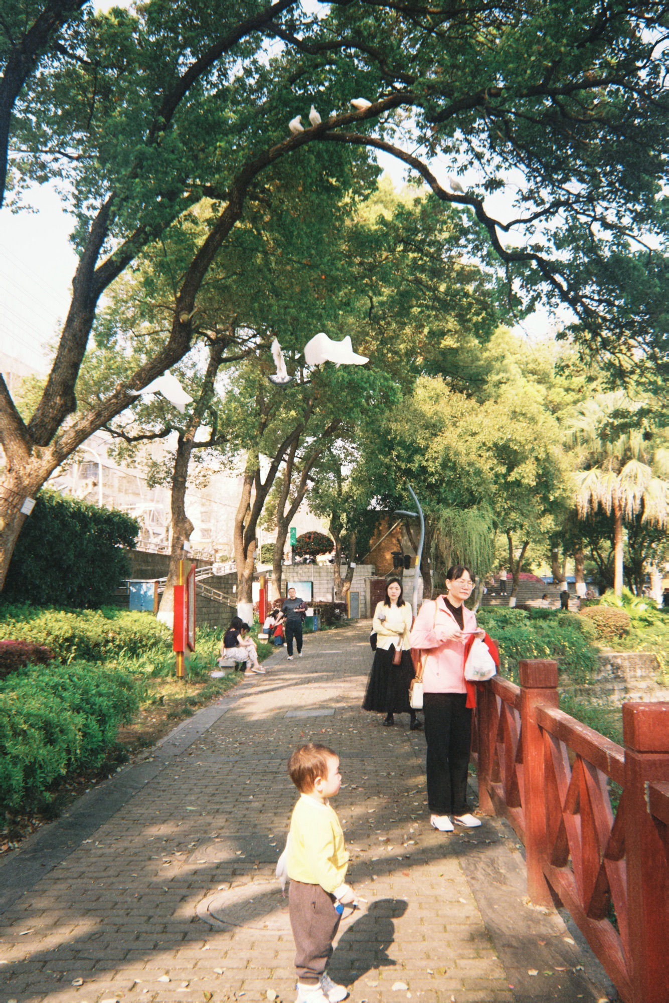 雨湖公园旅行图片 3