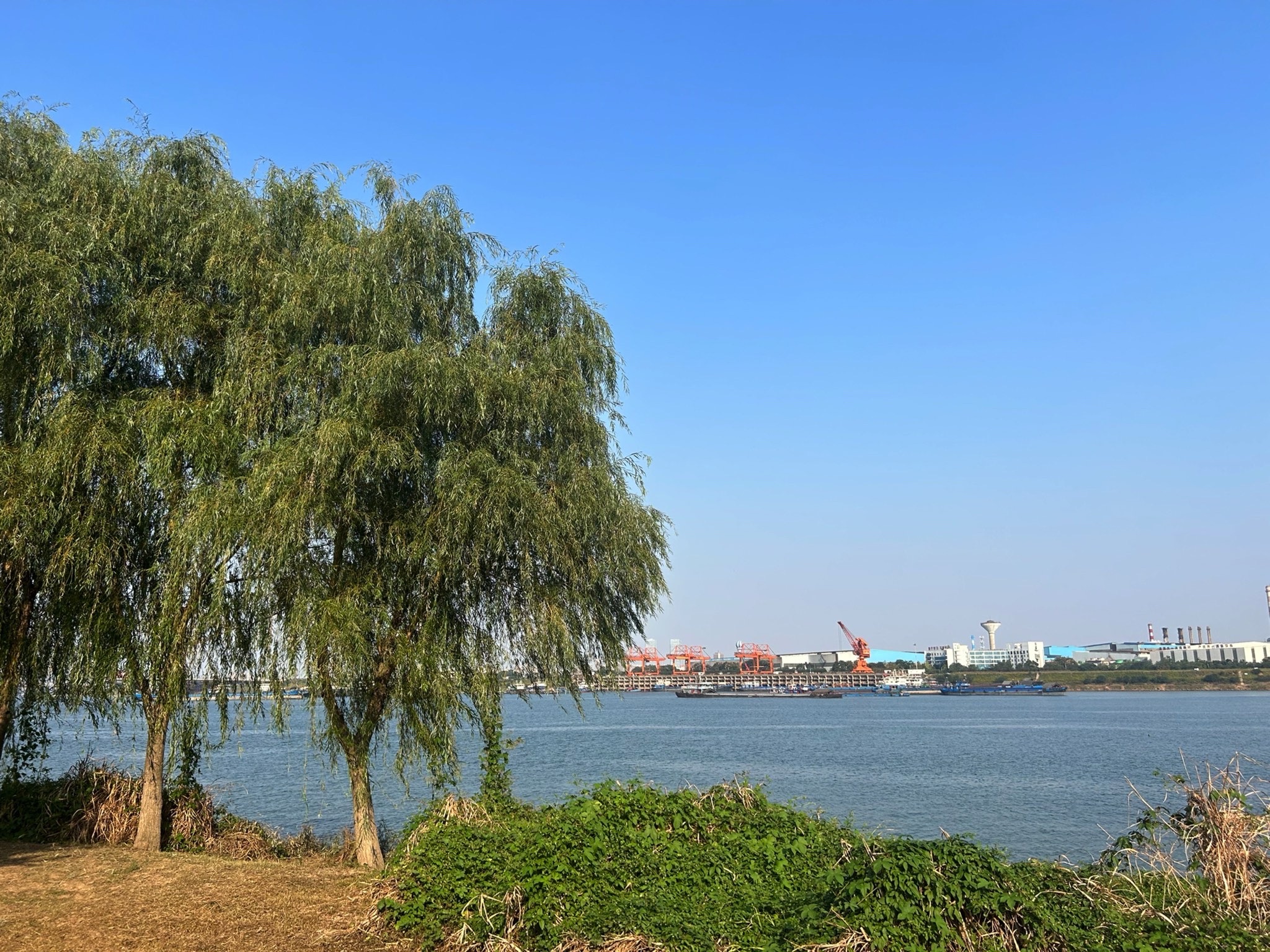 杨梅洲水上公园(暂停开放)旅行图片 2
