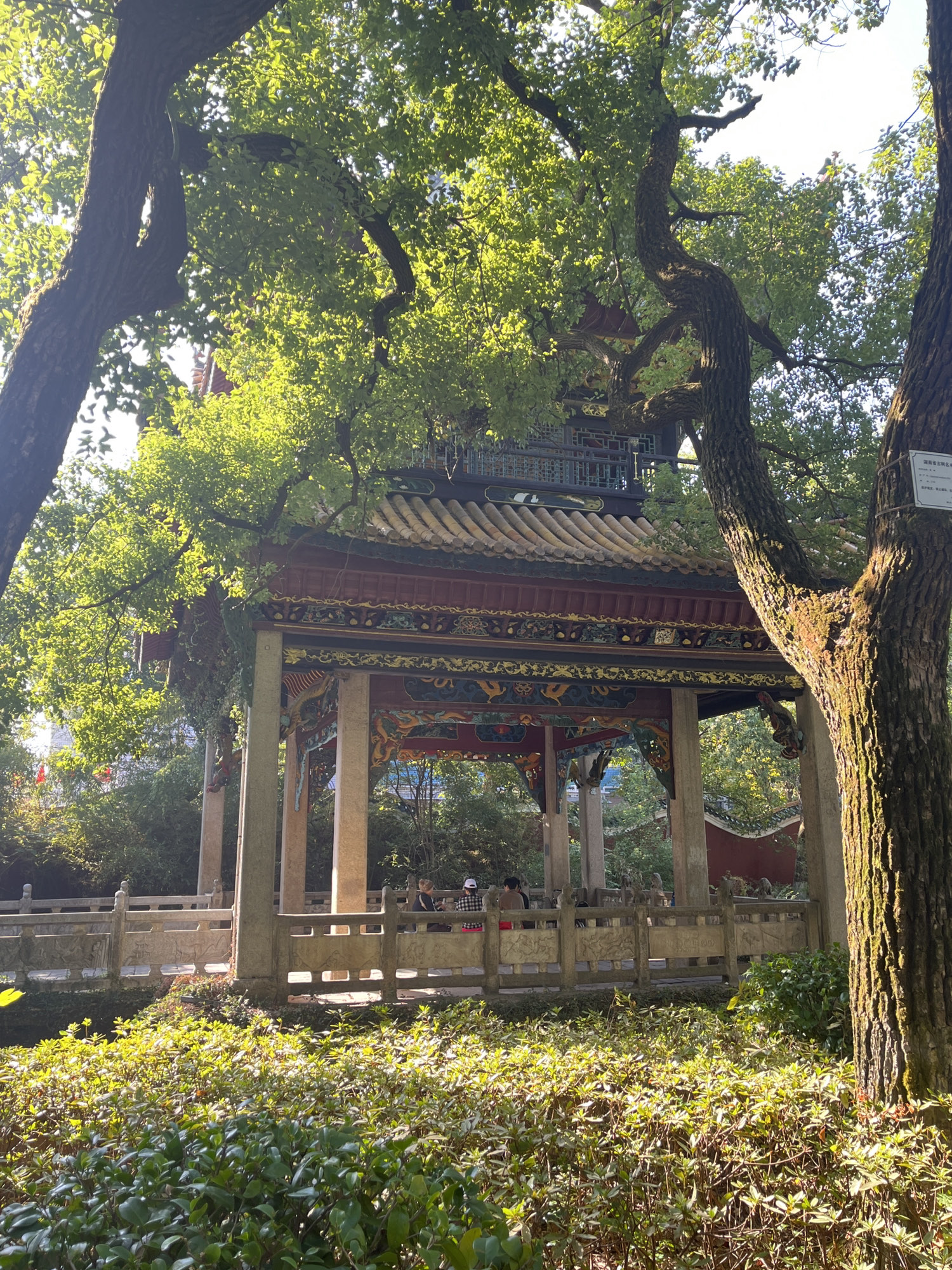和平公园