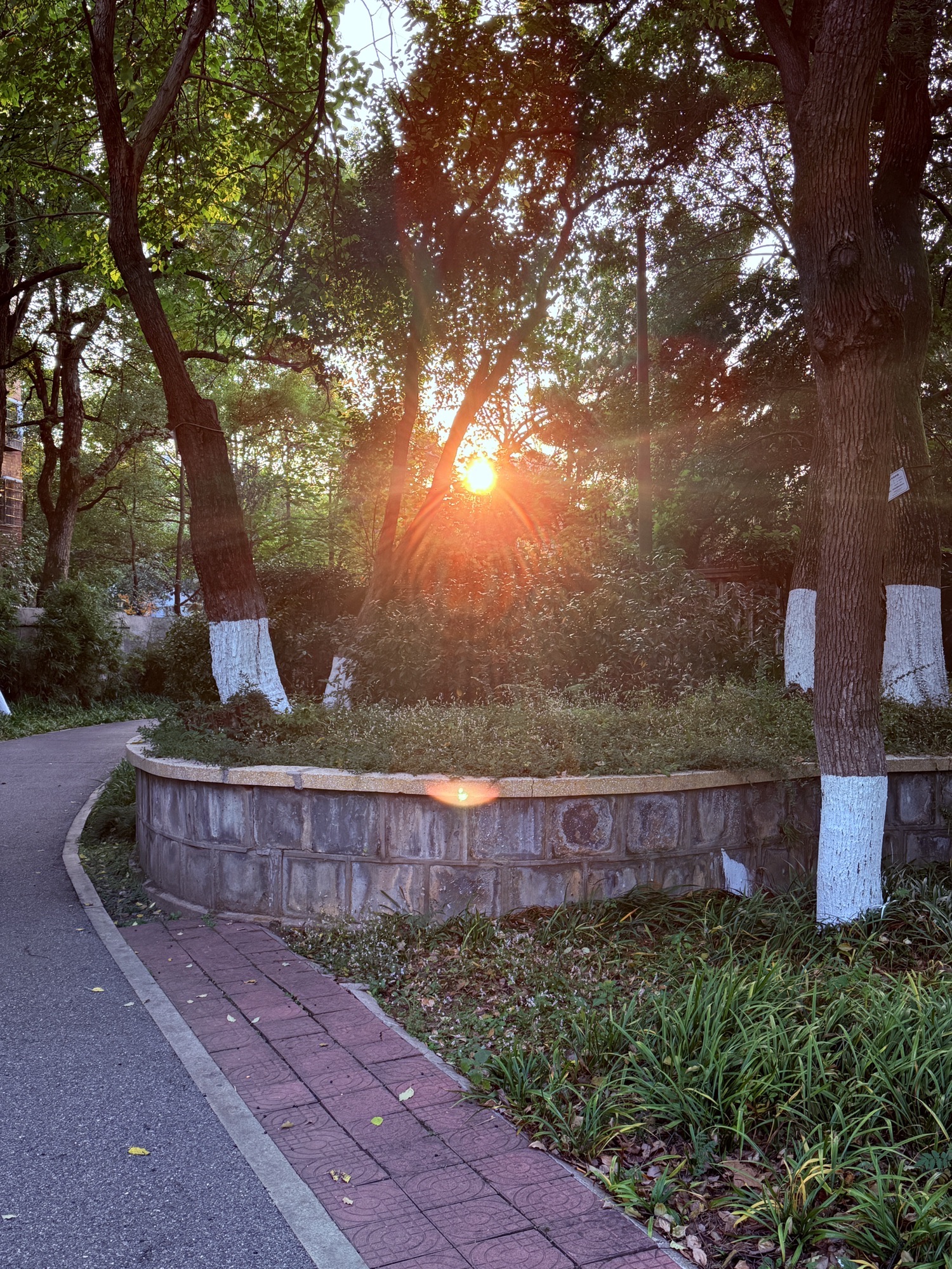 和平公园旅行图片 1
