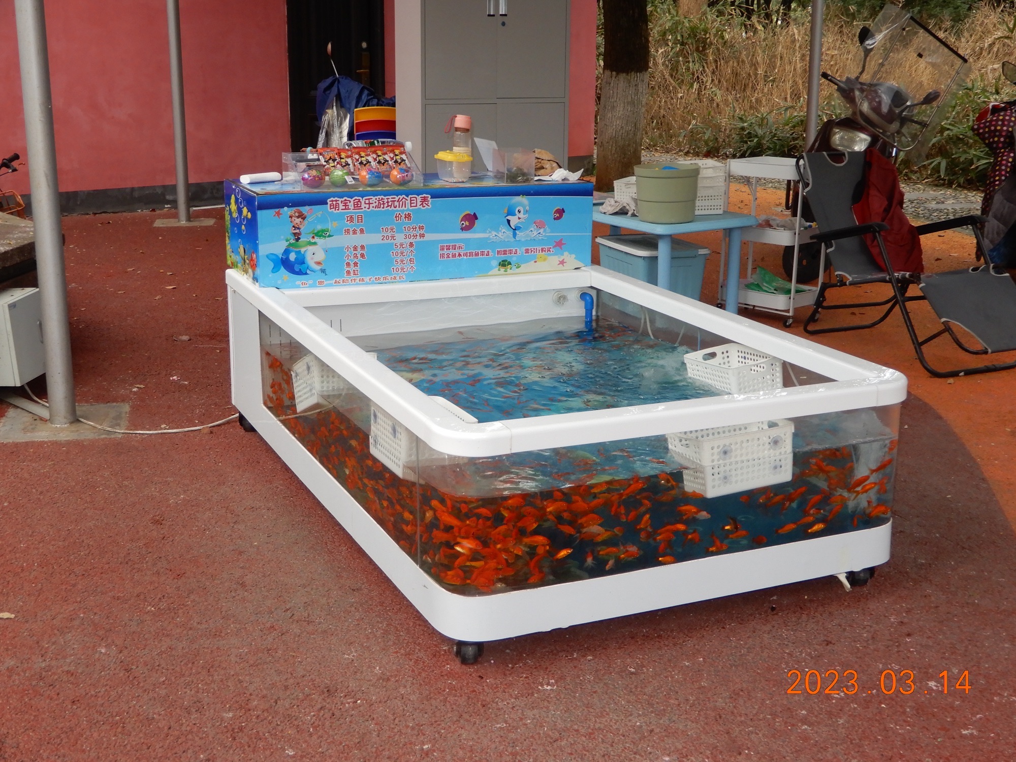 和平公园旅行图片 3