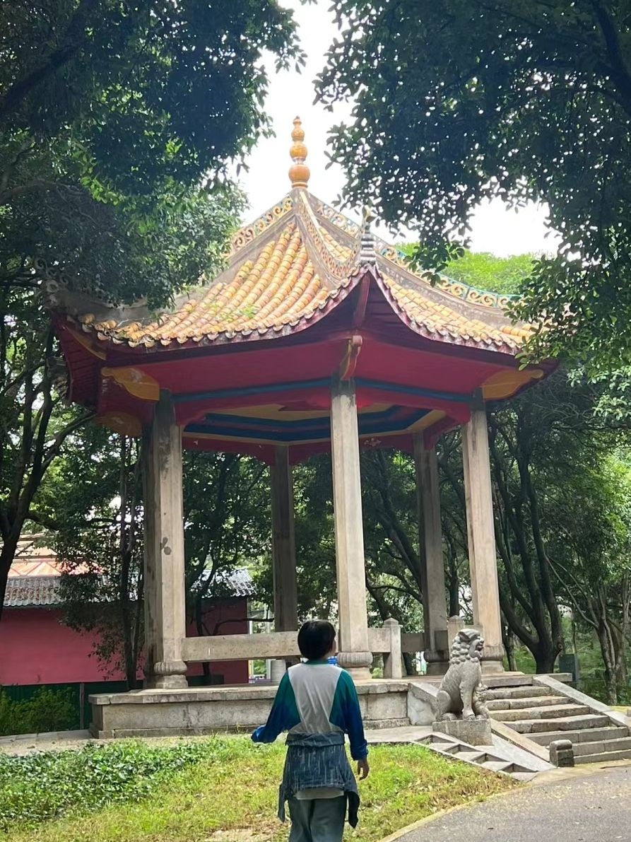 和平公园旅行图片 3