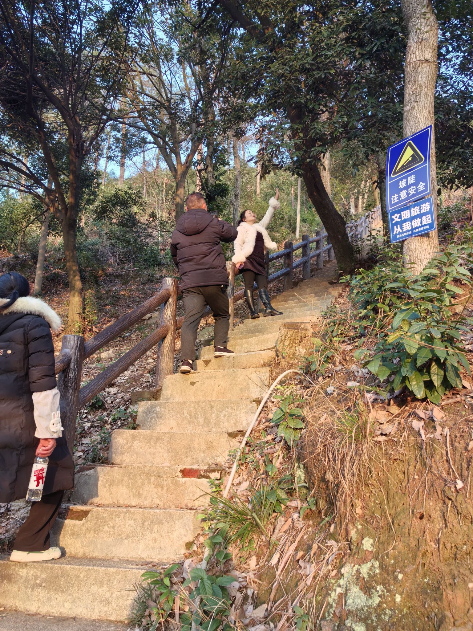 东台山国家森林公园旅行图片 2