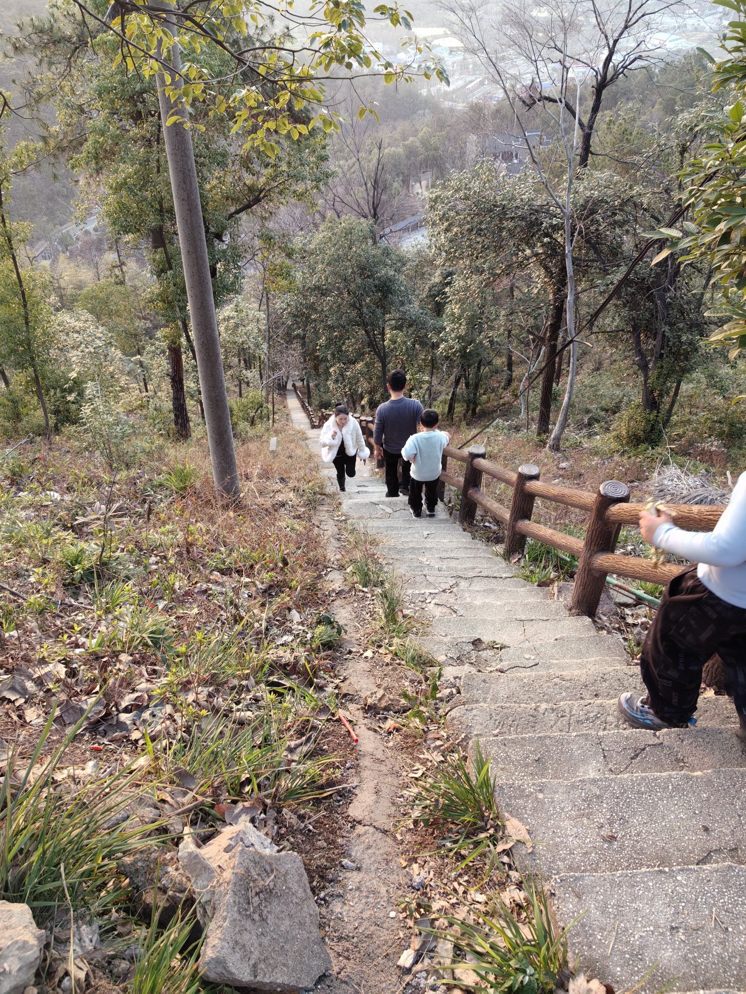 东台山国家森林公园旅行图片 3