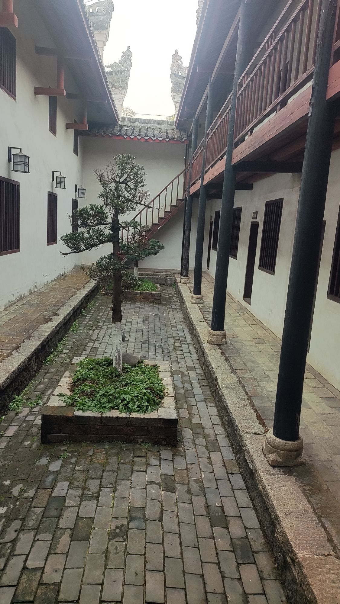 东山书院旅行图片 2