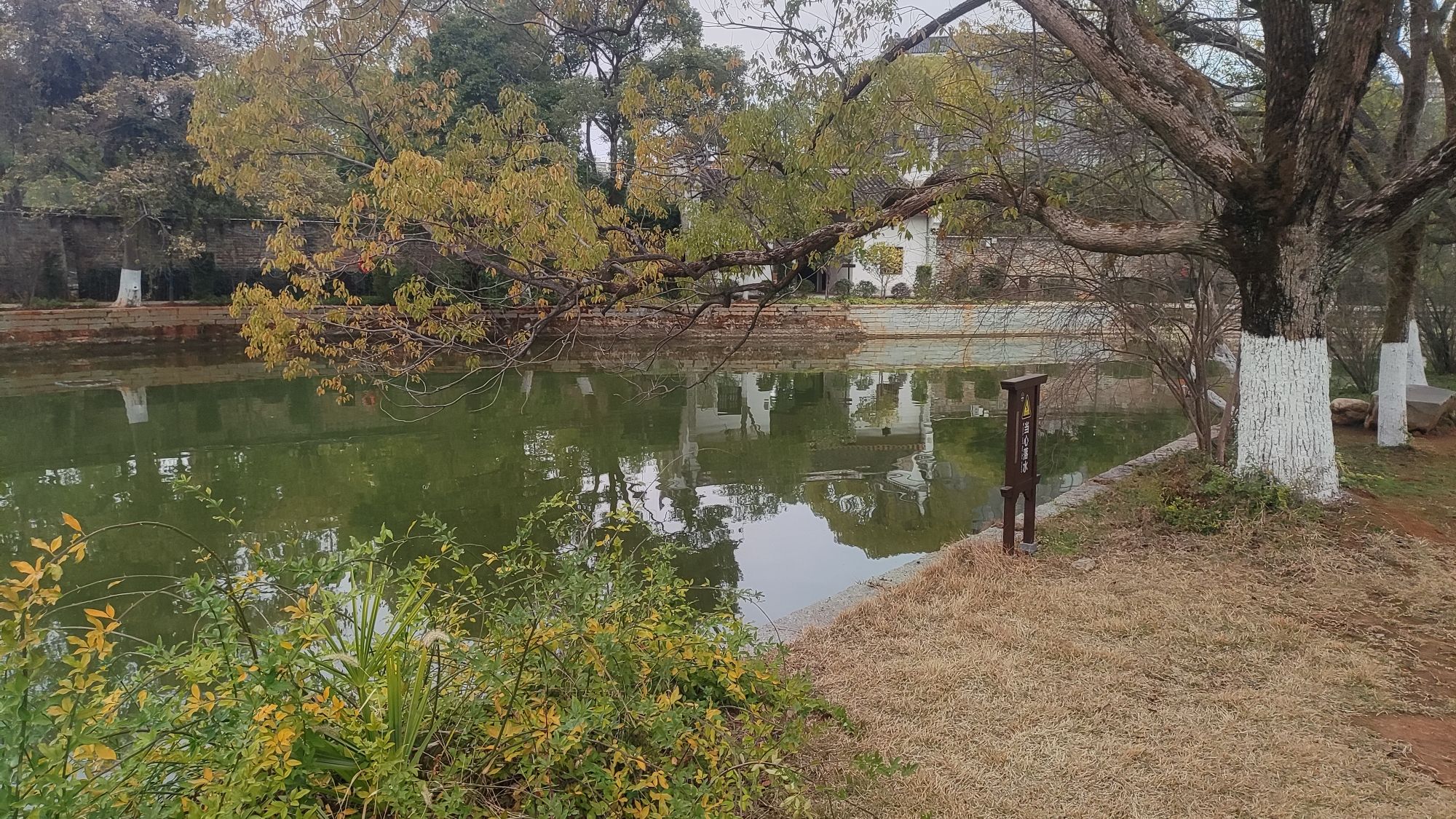 东山书院旅行图片 1