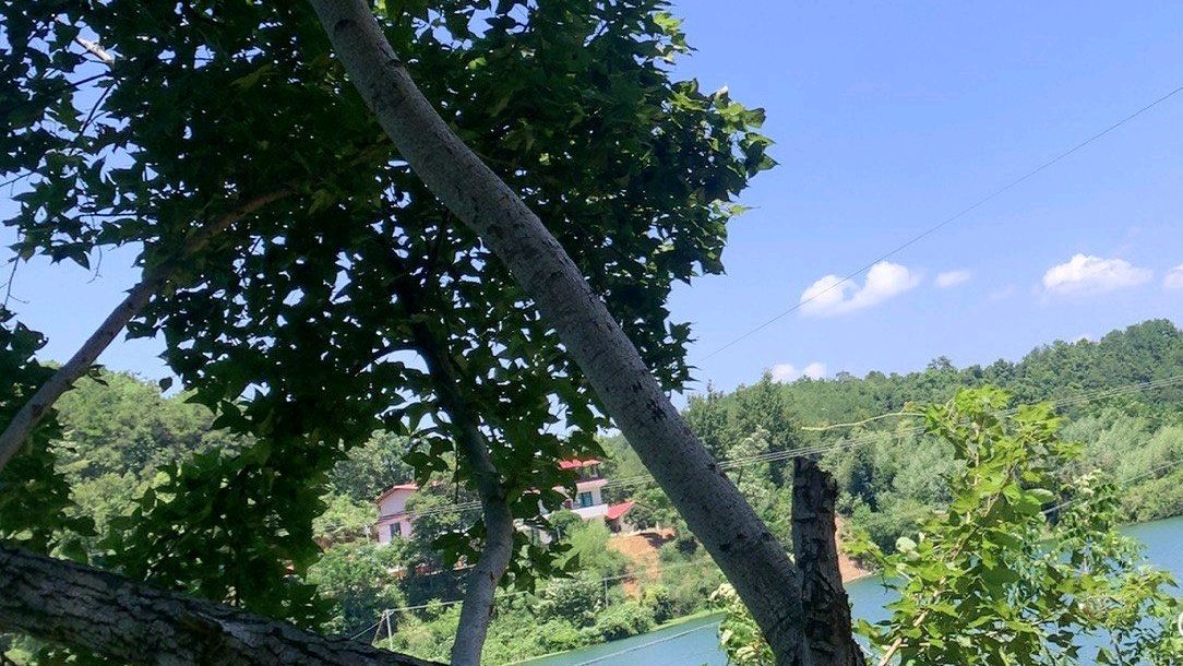 水府旅游区旅行图片 2