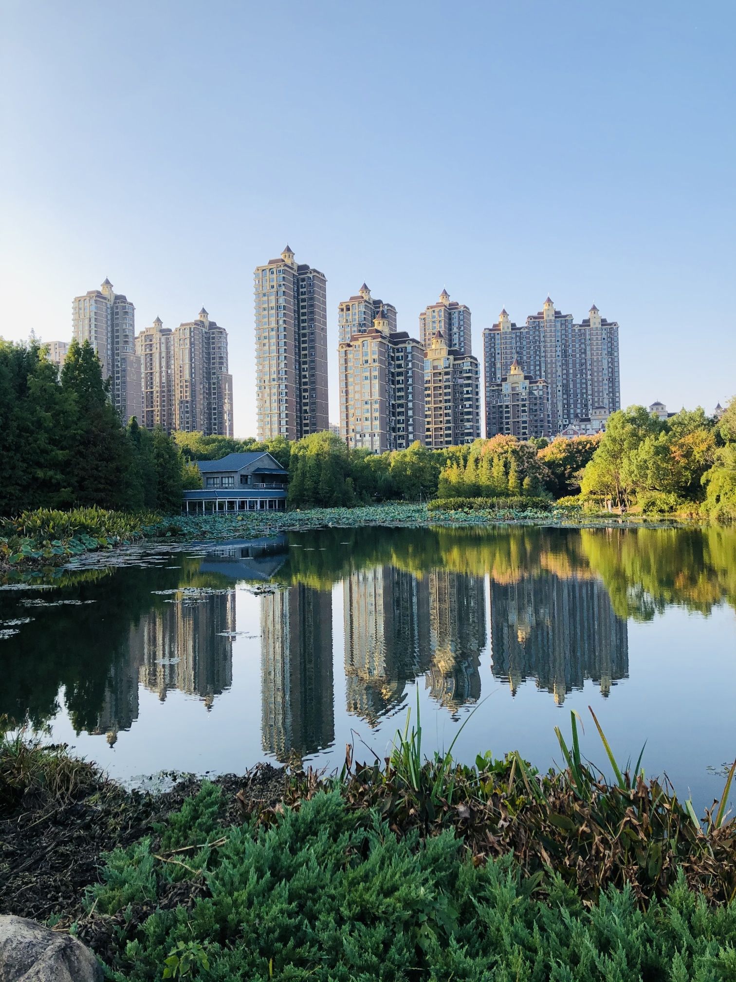 湖湘公园旅行图片 1