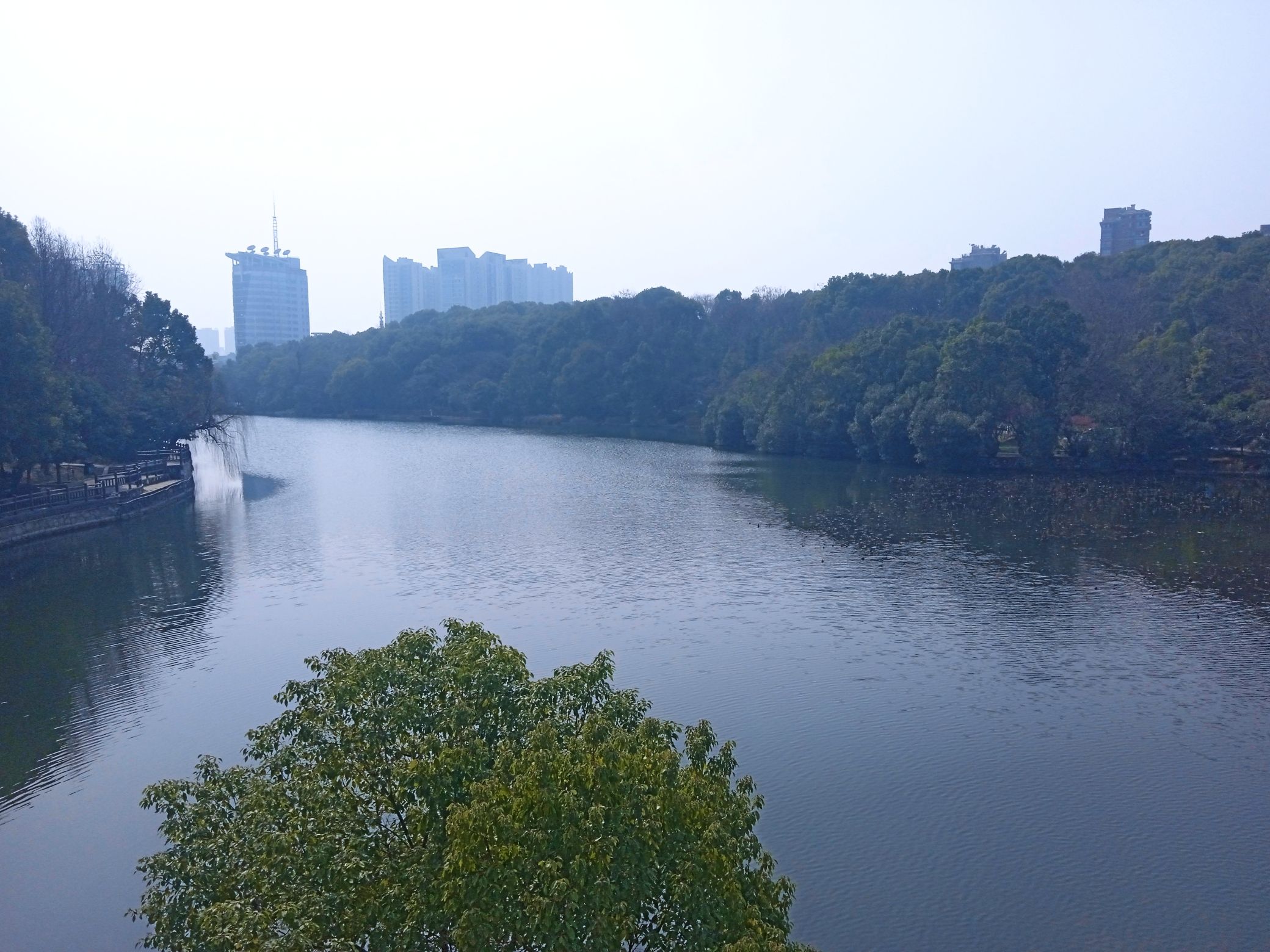 湖湘公园旅行图片 2