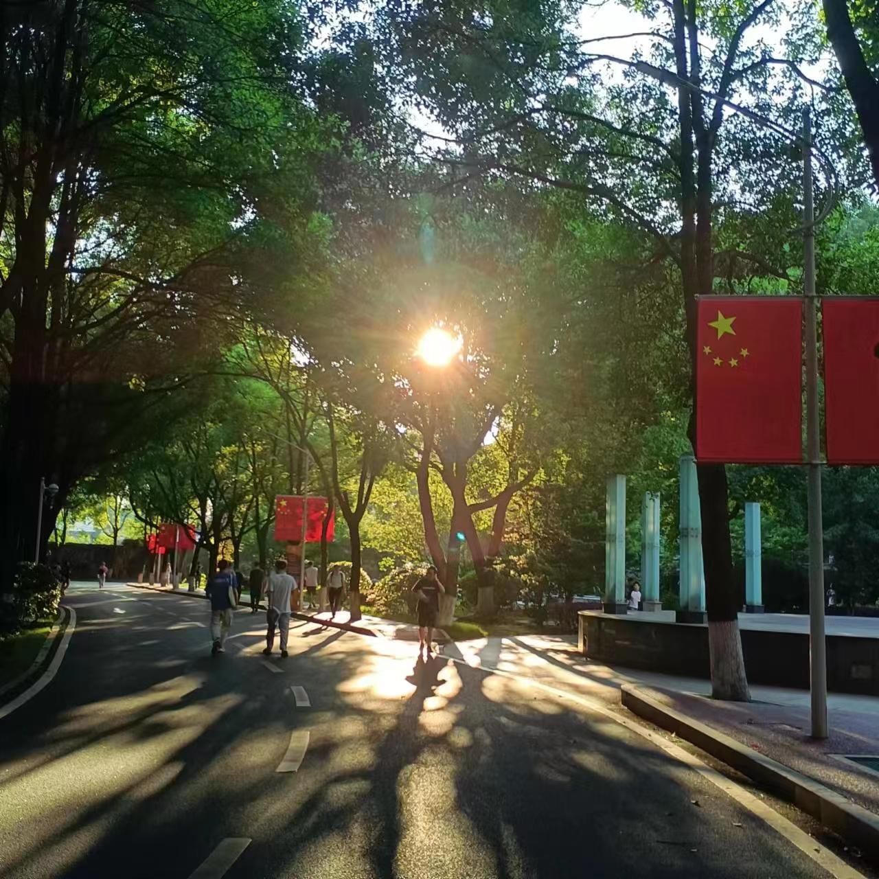 湖湘公园旅行图片 1
