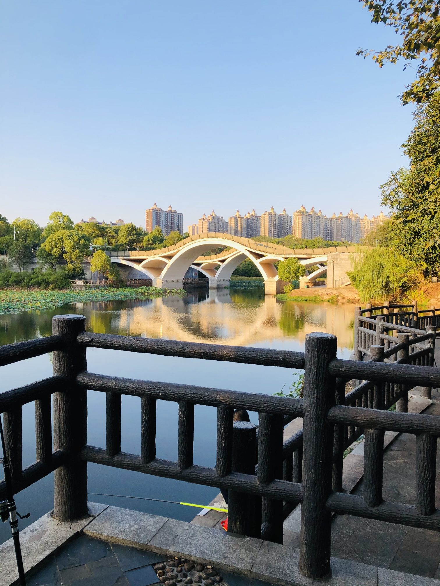 湖湘公园旅行图片 3