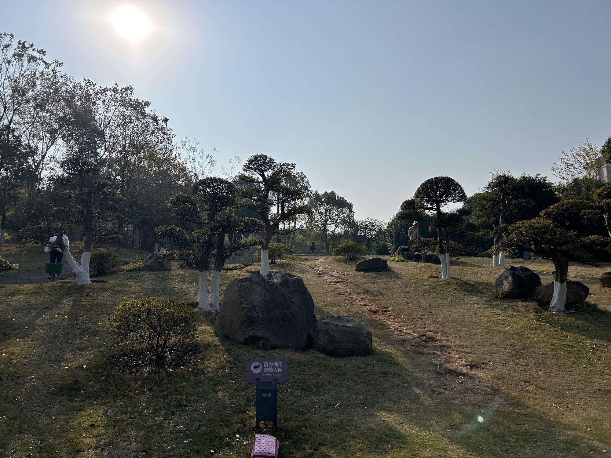 湖湘公园旅行图片 2
