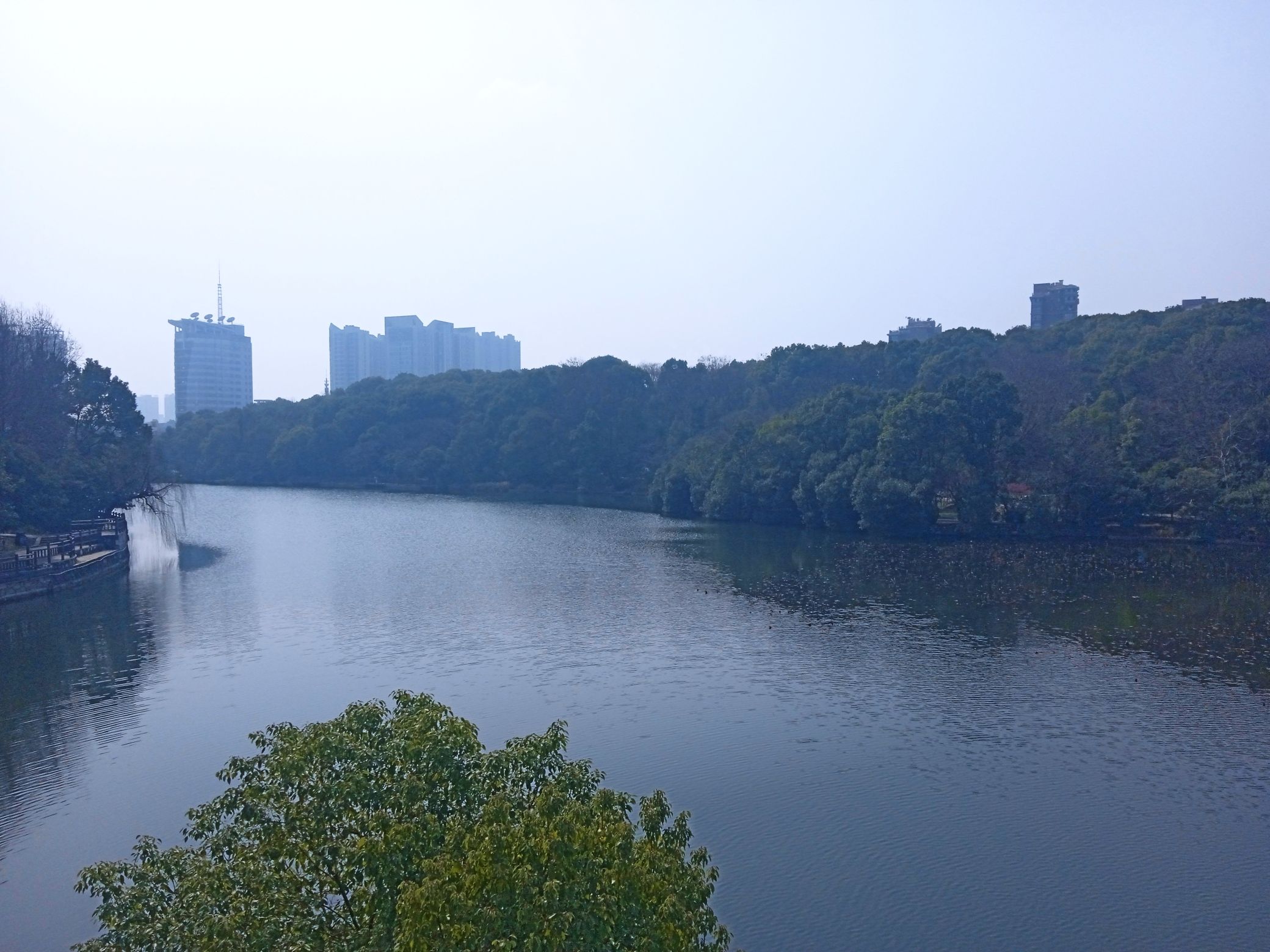 湖湘公园旅行图片 3