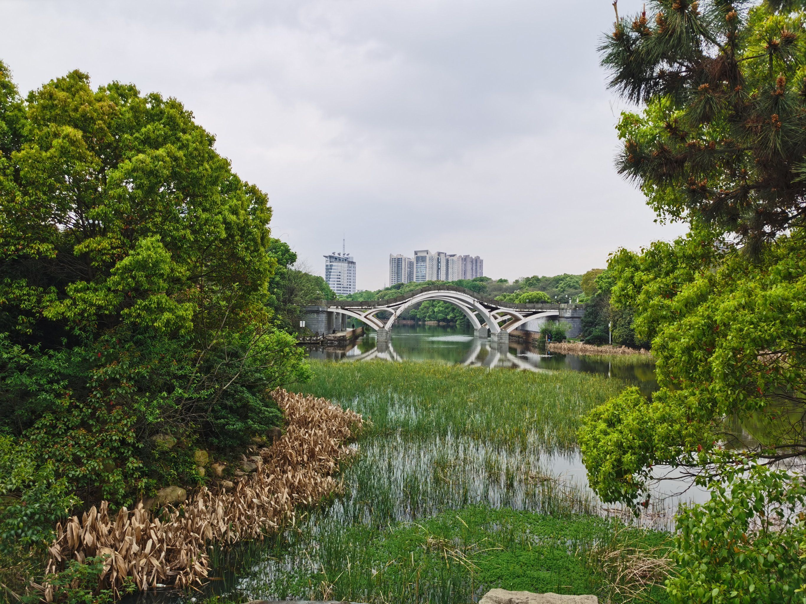 湖湘公园旅行图片 2
