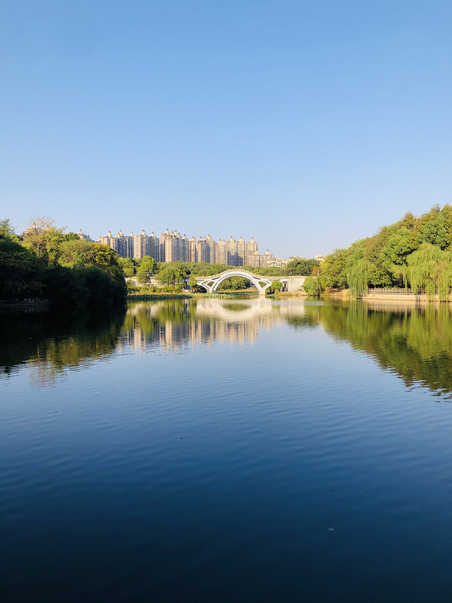 湖湘公园旅行图片 2