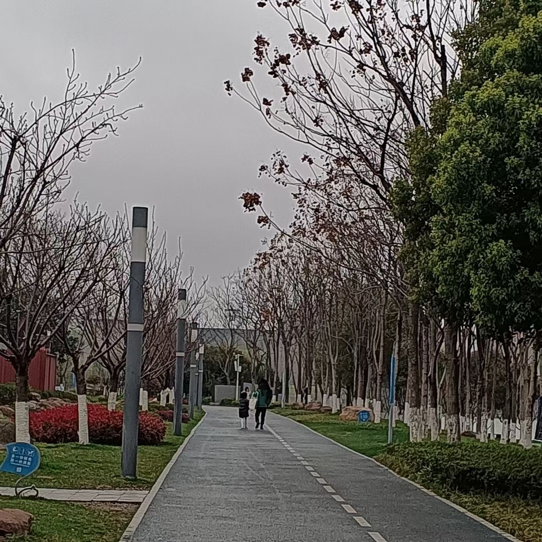 湖湘公园旅行图片 2