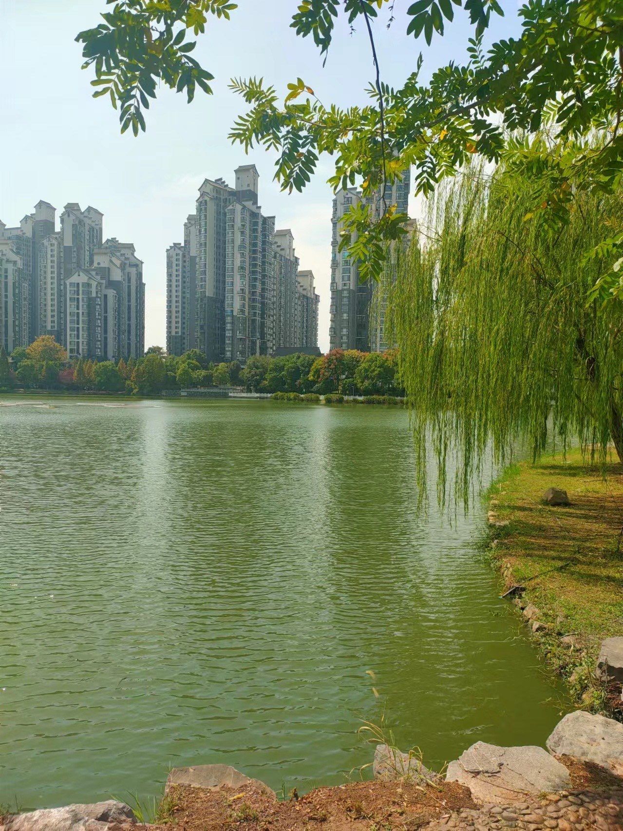白石公园旅行图片 3