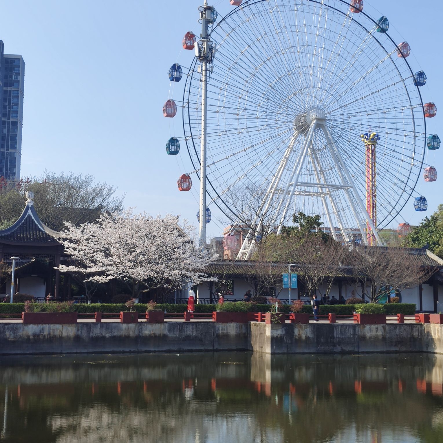 白石公园旅行图片 3