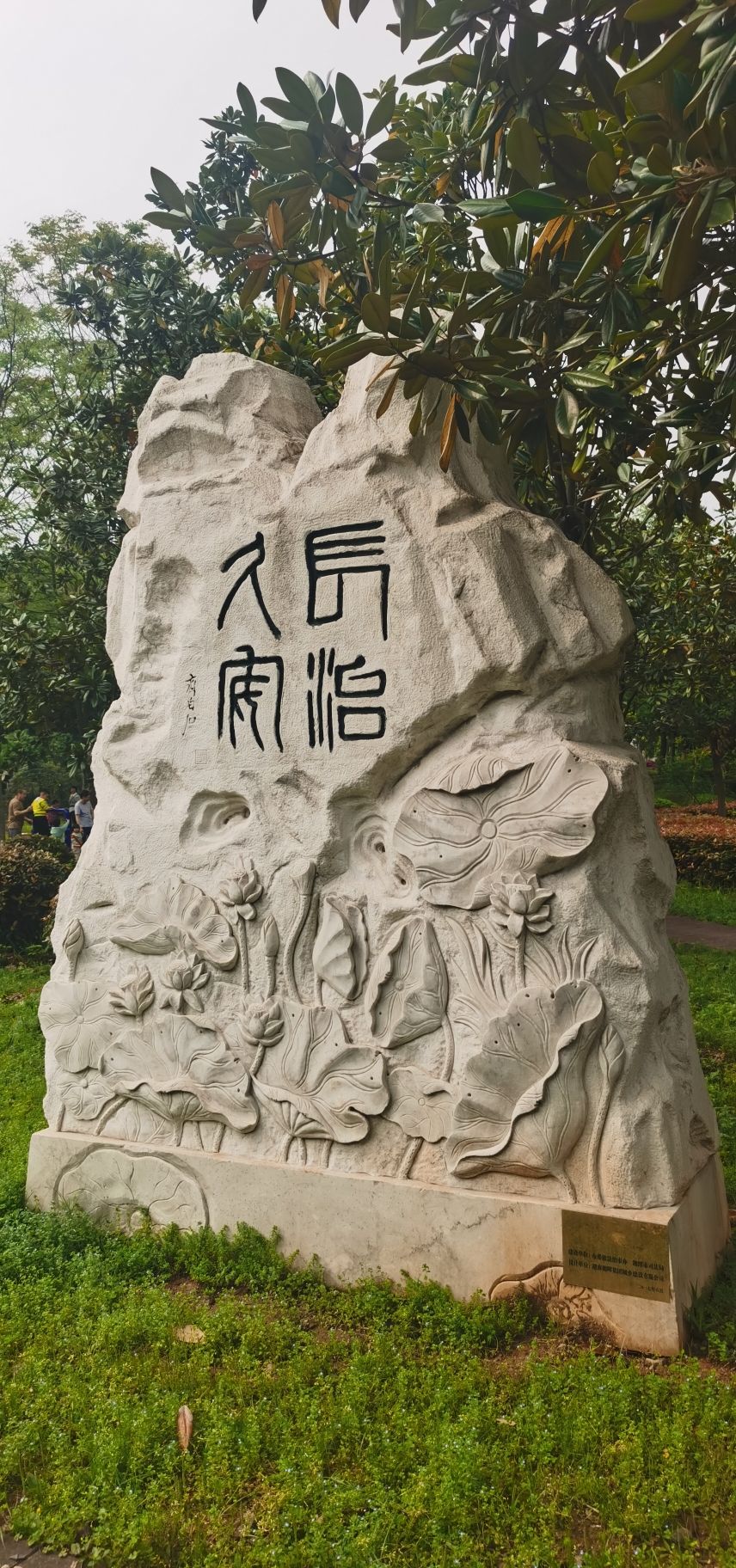 白石公园旅行图片 3