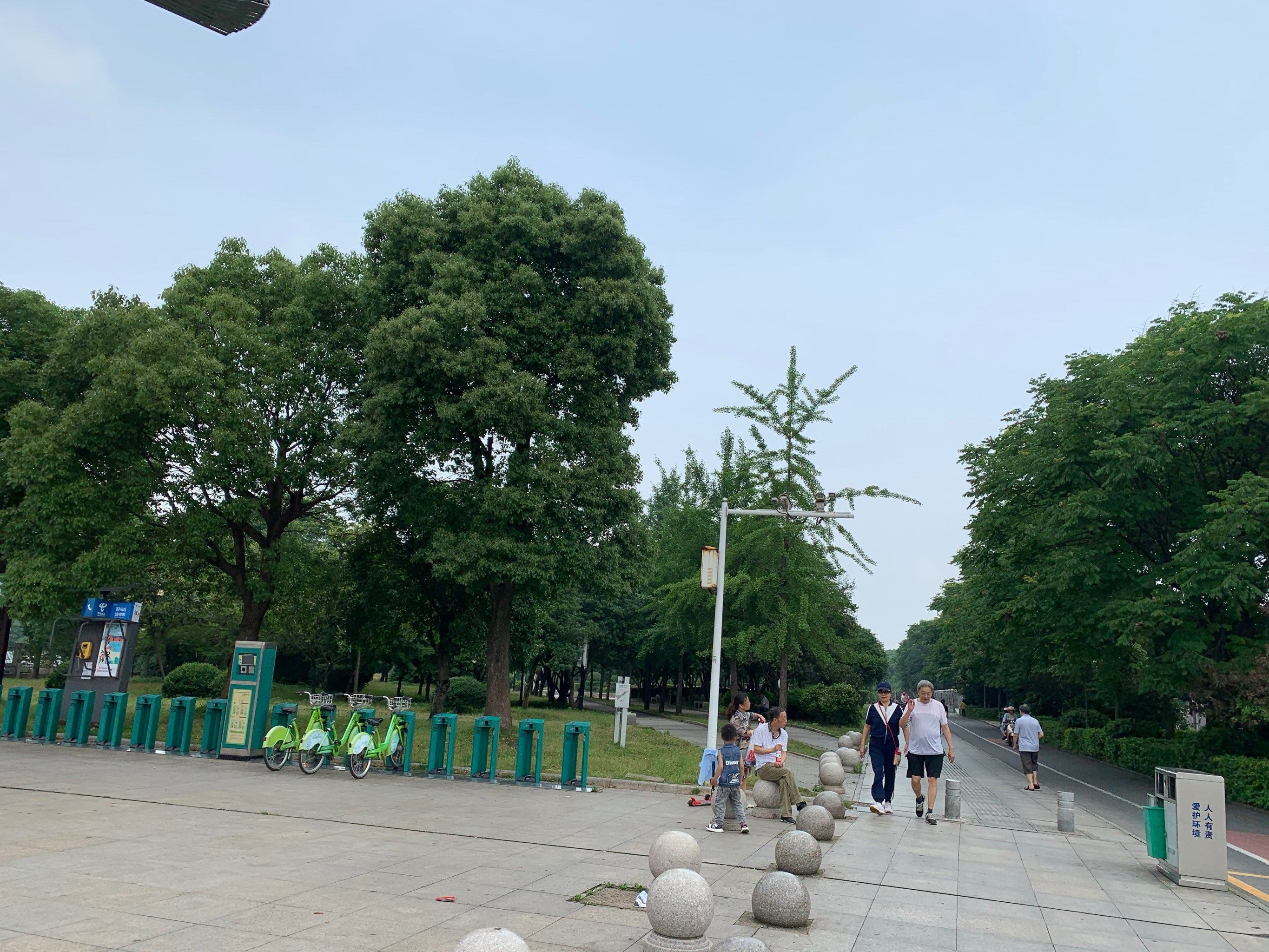 体育公园(岳塘区)旅行图片 1