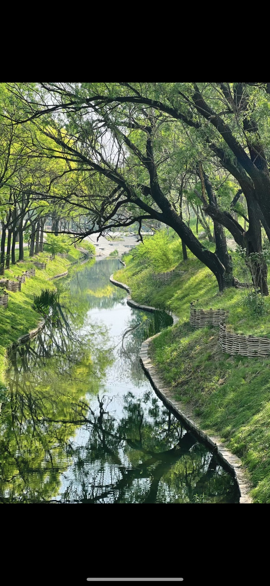 吉利社区公园旅行图片 3