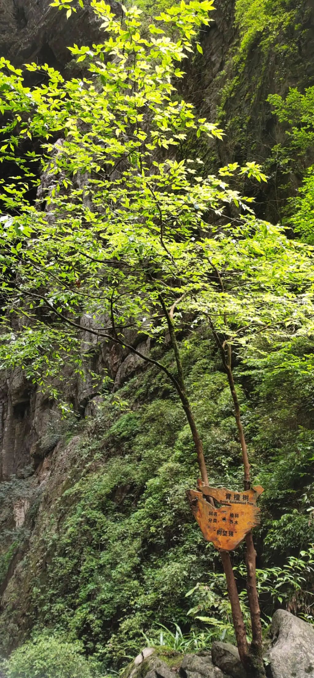 仙女风景区