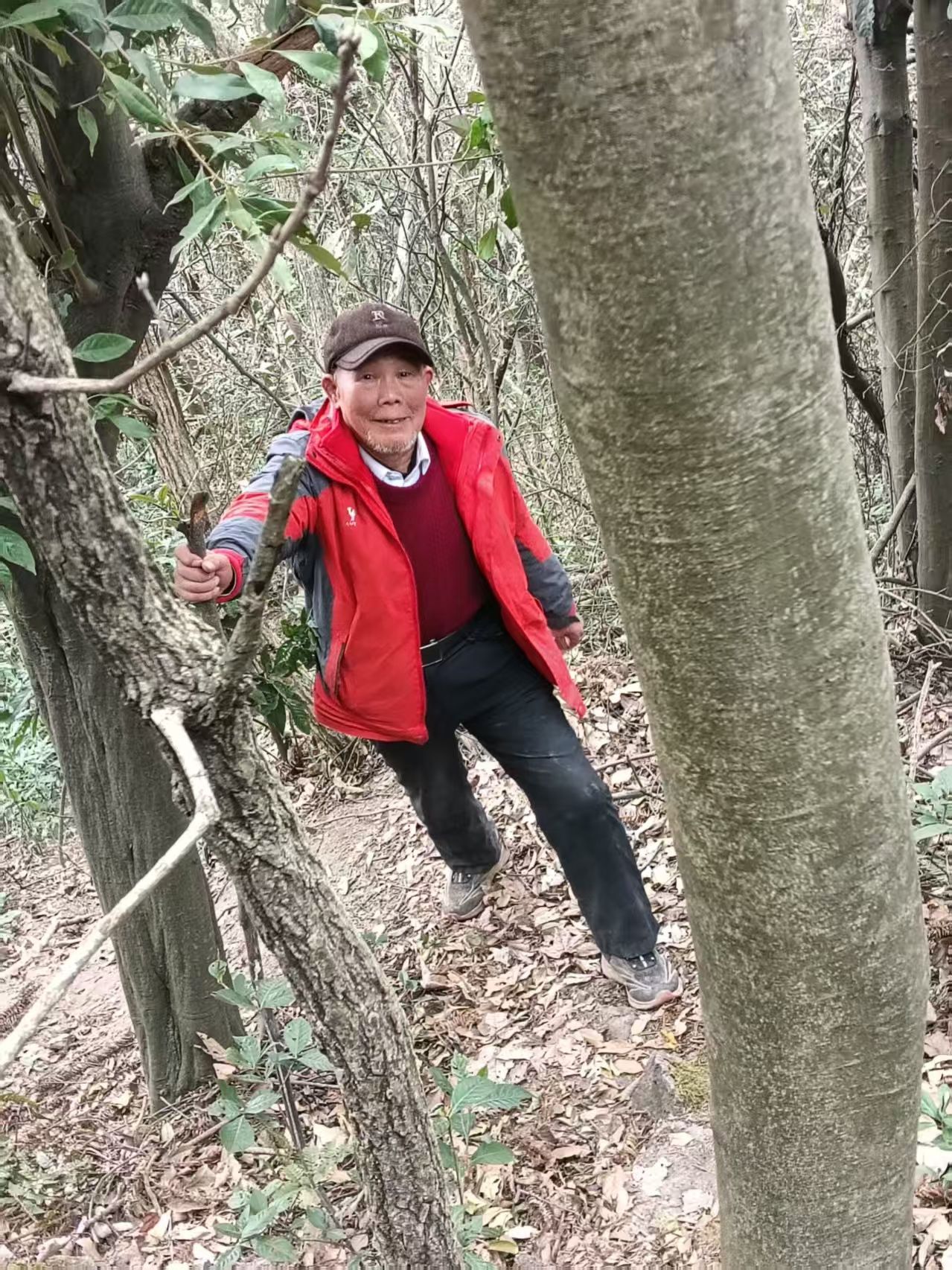 仙女风景区旅行图片 3
