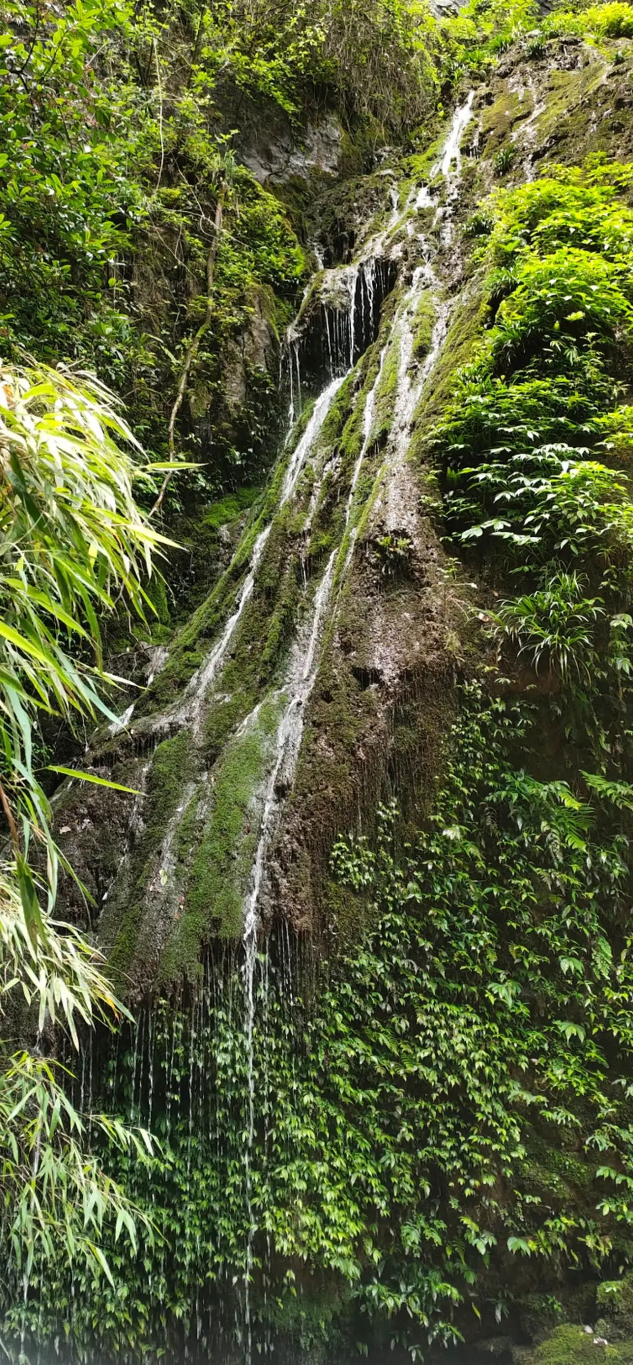 仙女风景区旅行图片 3