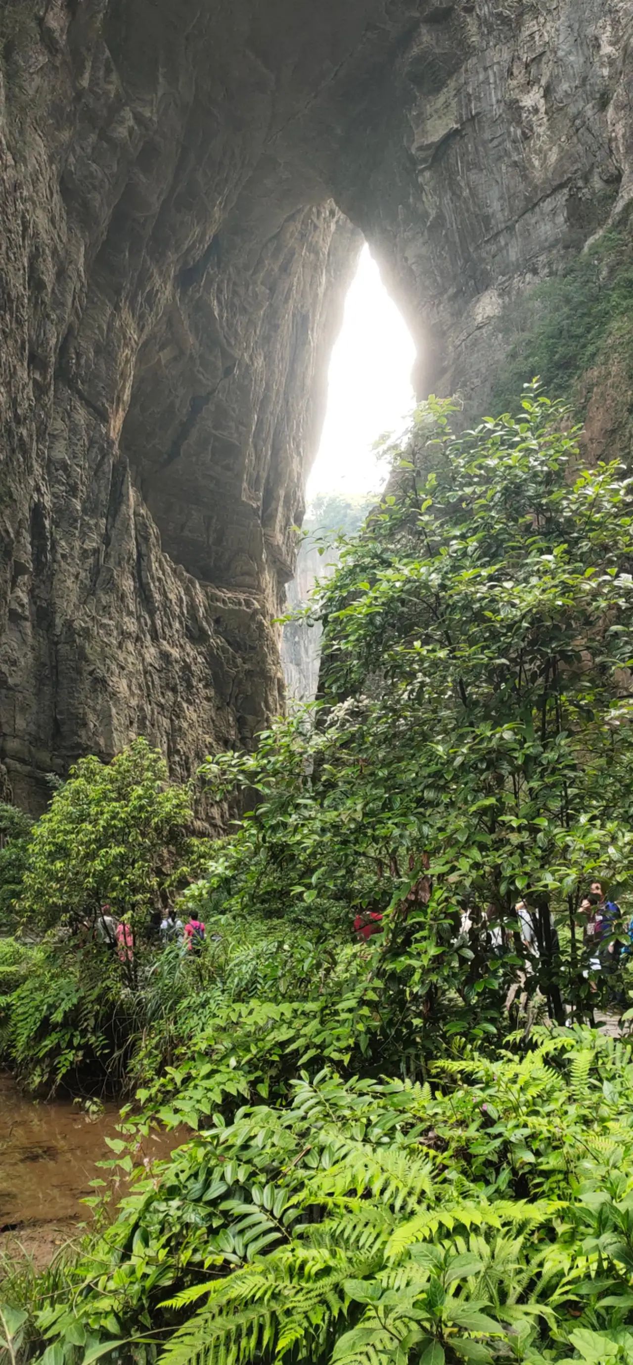 仙女风景区旅行图片 2