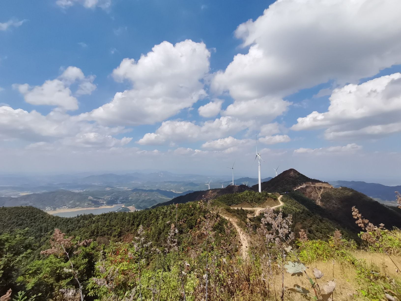 褒忠山旅行图片 1