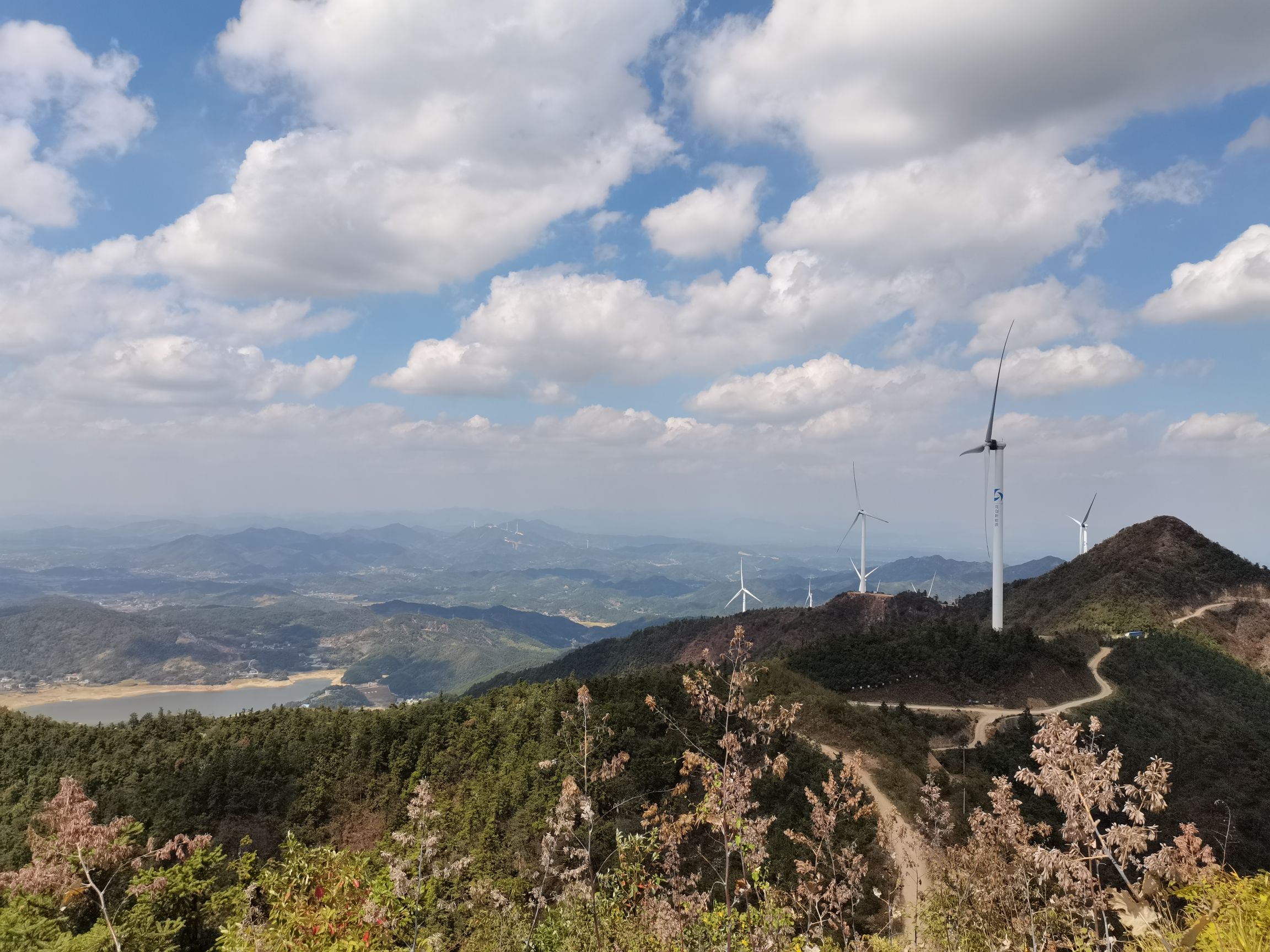 褒忠山旅行图片 2