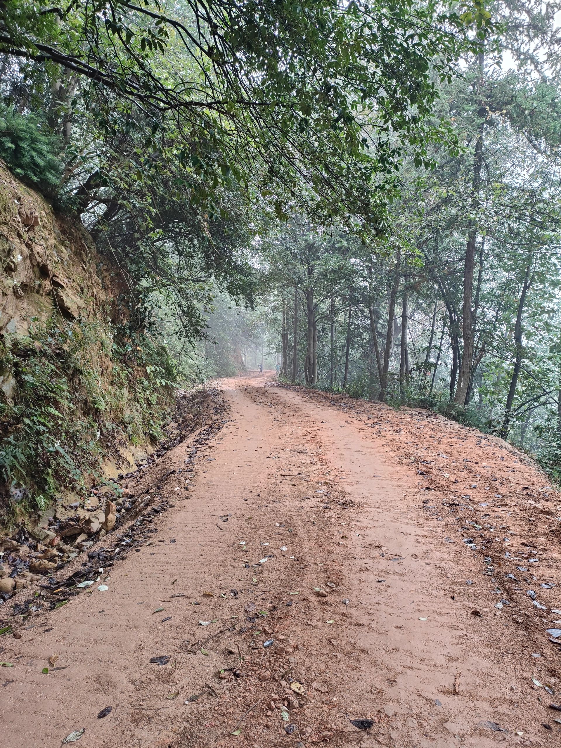褒忠山旅行图片 3