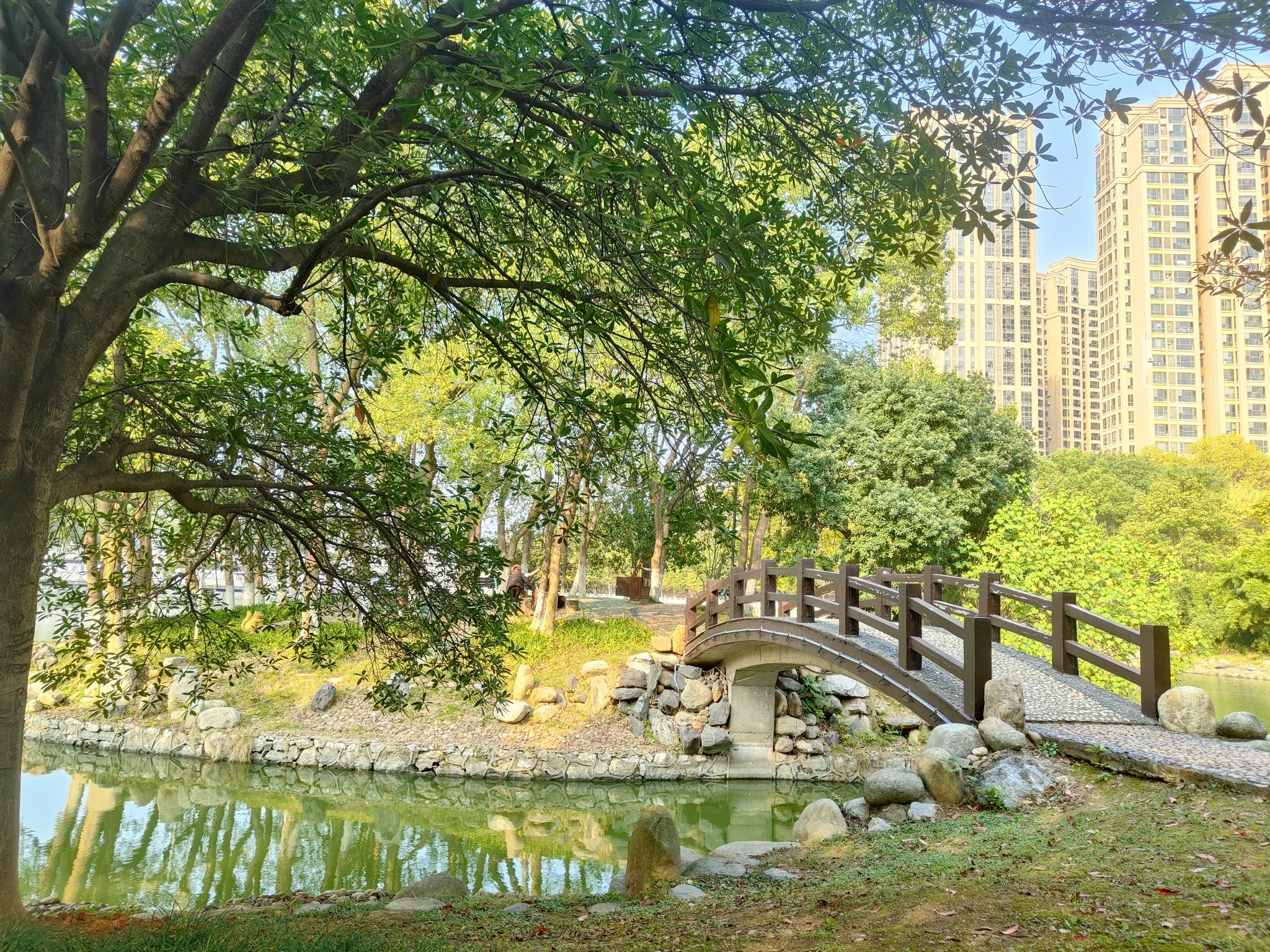文化园旅行图片 3