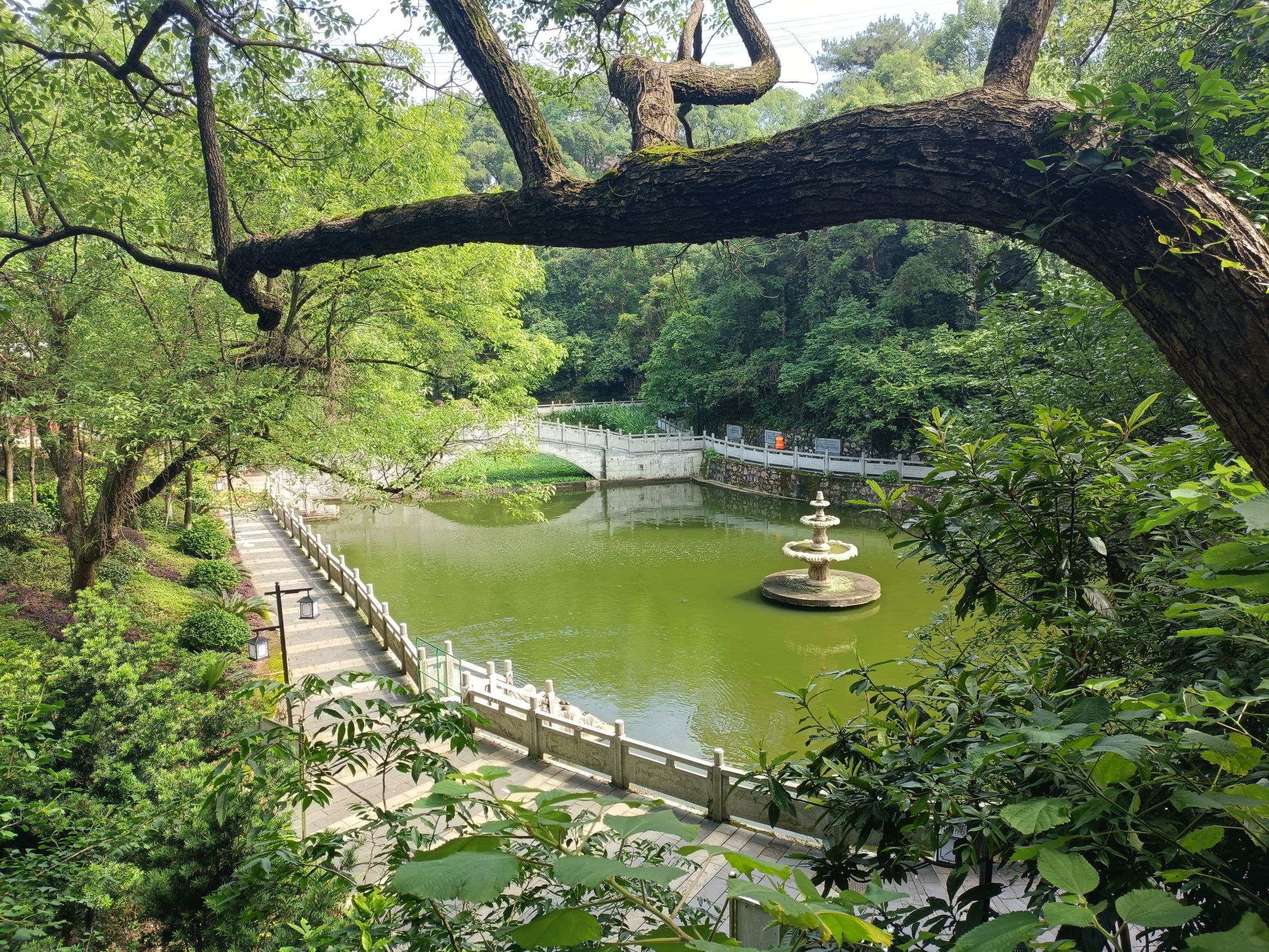 灵龟峰旅行图片