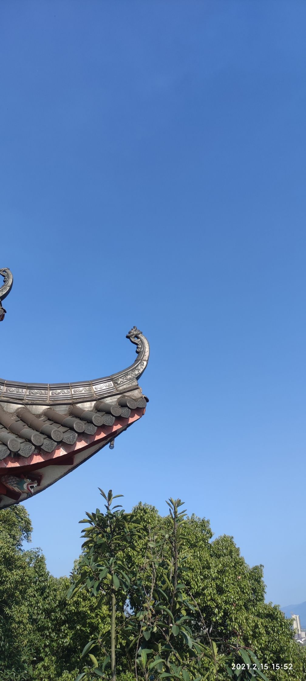 灵龟峰旅行图片 3