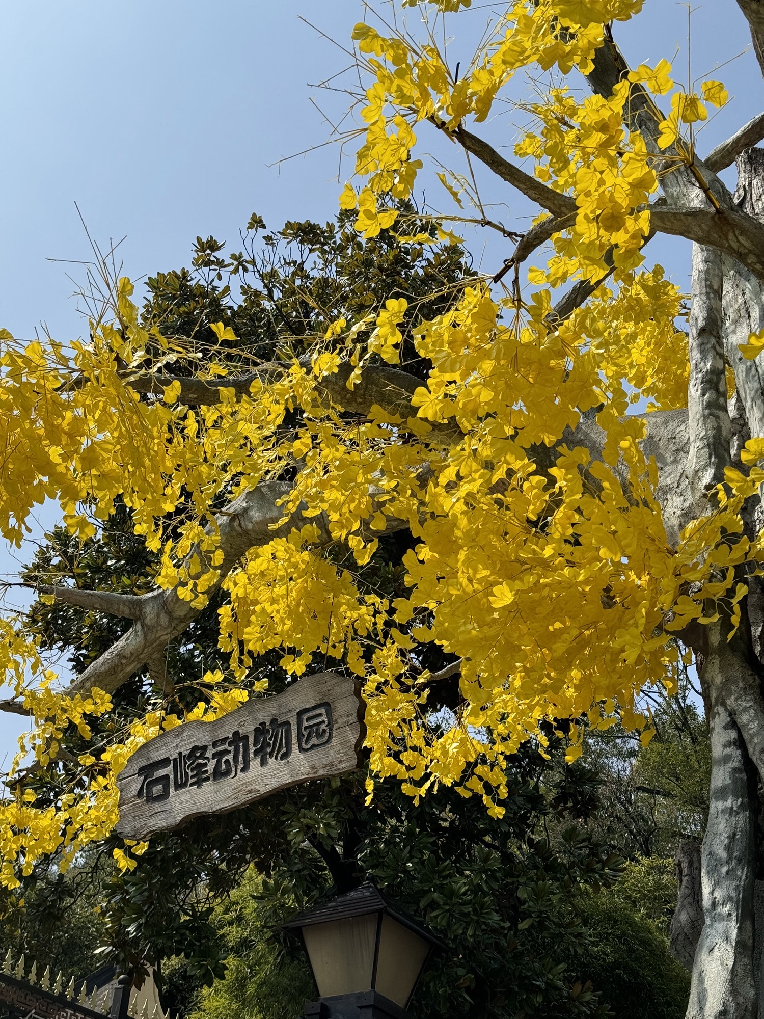 石峰公园旅行图片 2