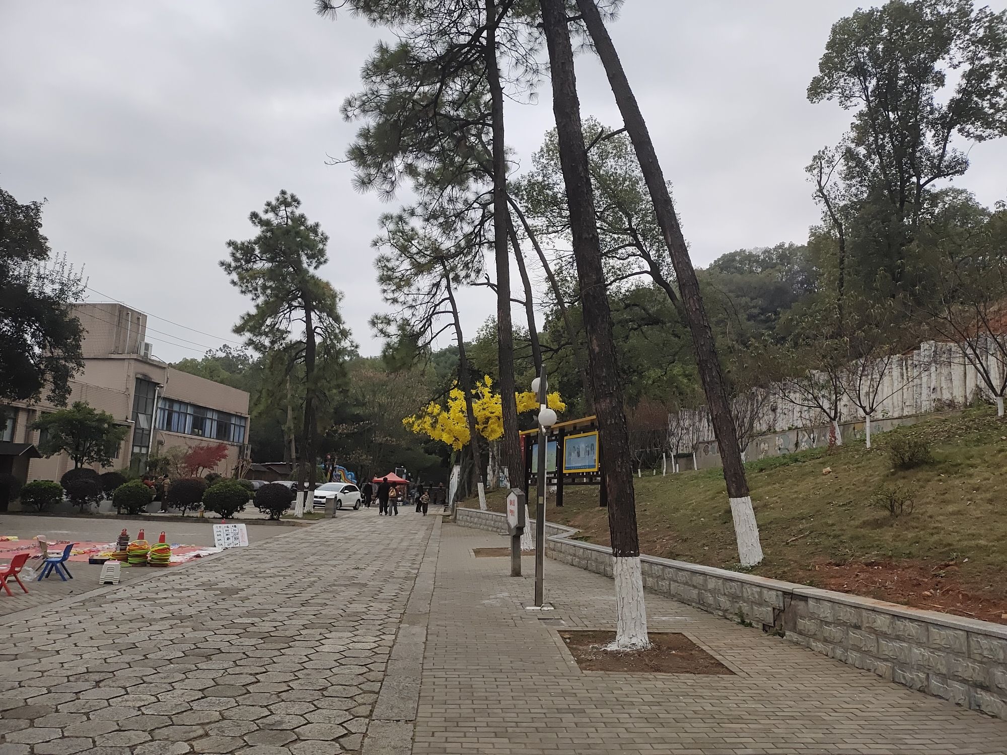 石峰公园旅行图片 2